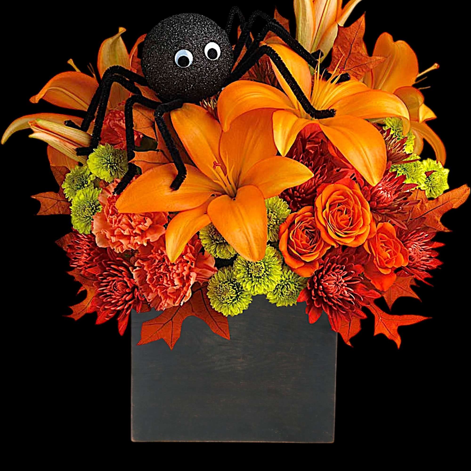 A big black spider creeps your way to wish you a Happy