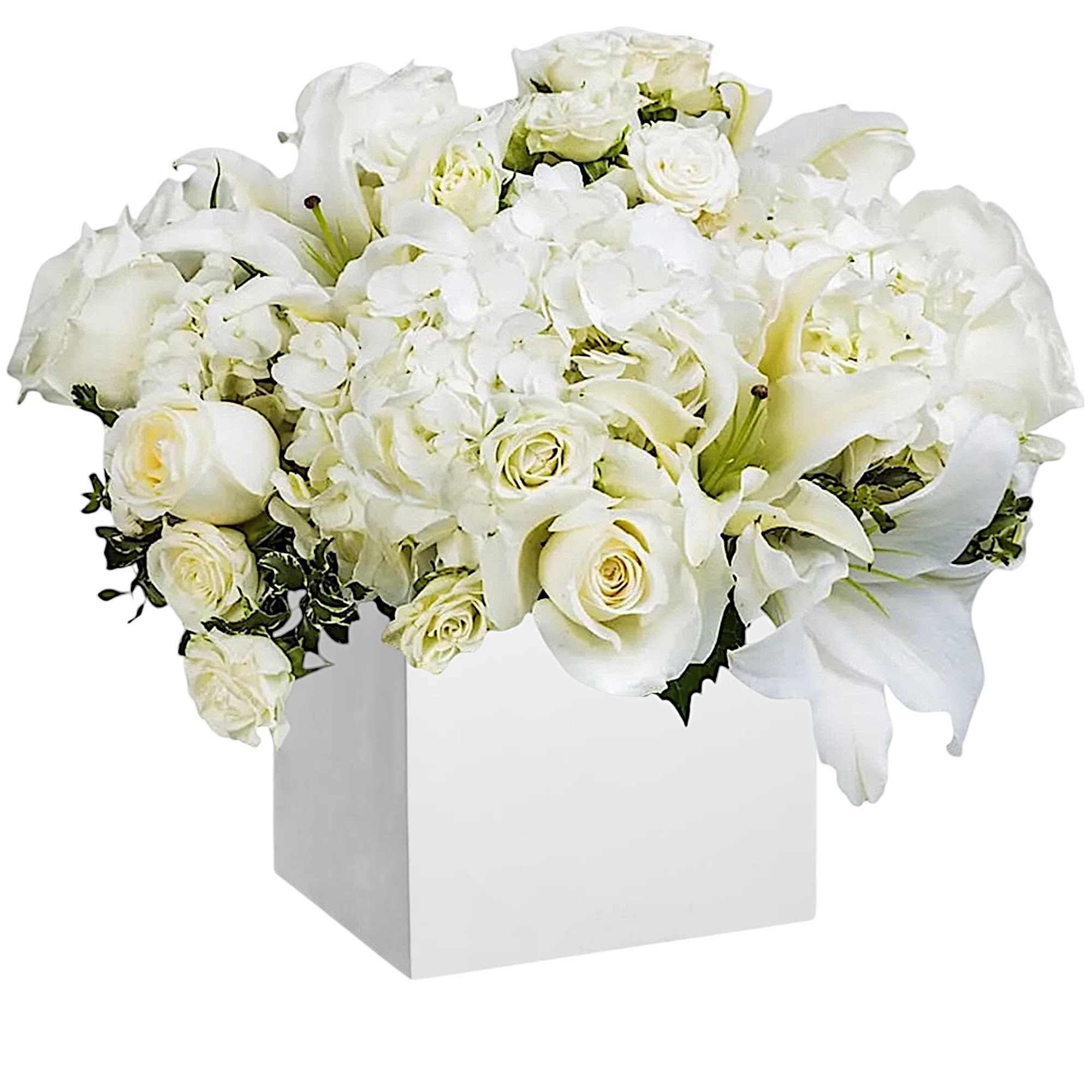 What a beautiful white flower arrangement. Great for any occasion.

DETAILS
Beautiful white roses