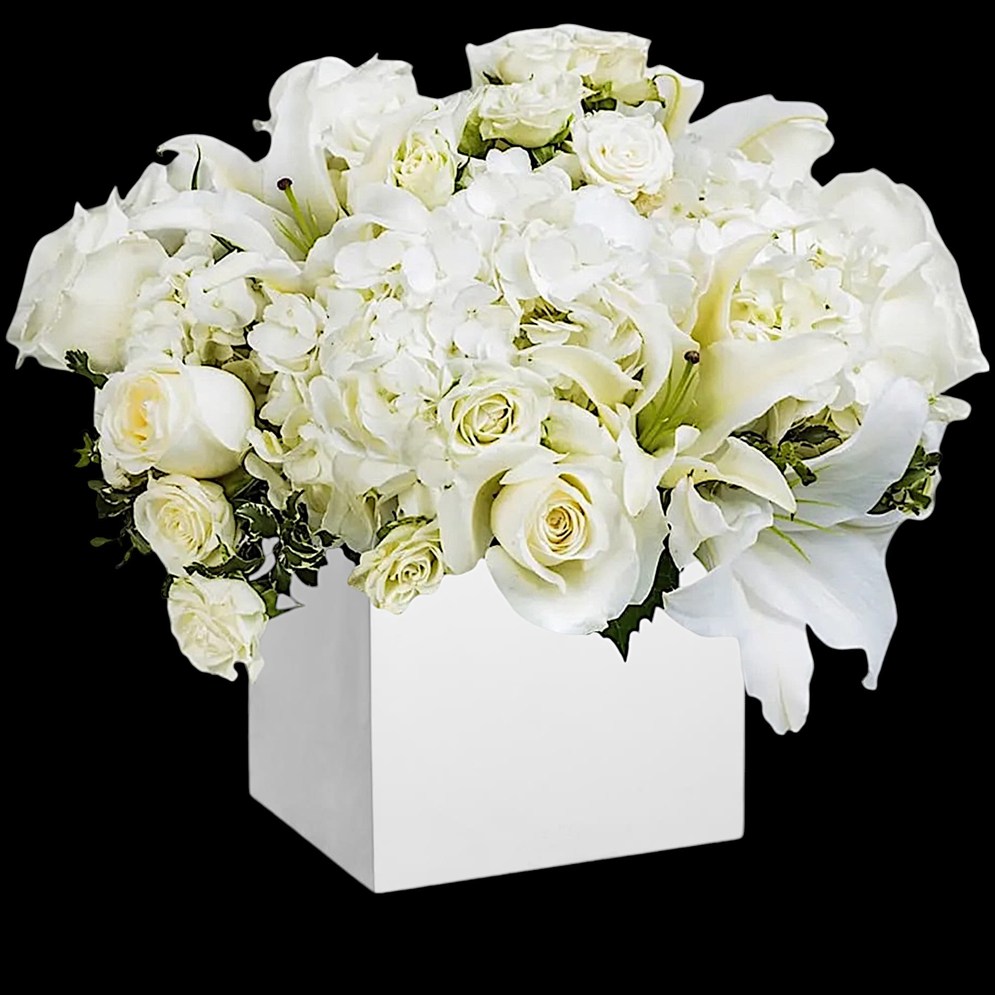 What a beautiful white flower arrangement. Great for any occasion.

DETAILS
Beautiful white roses