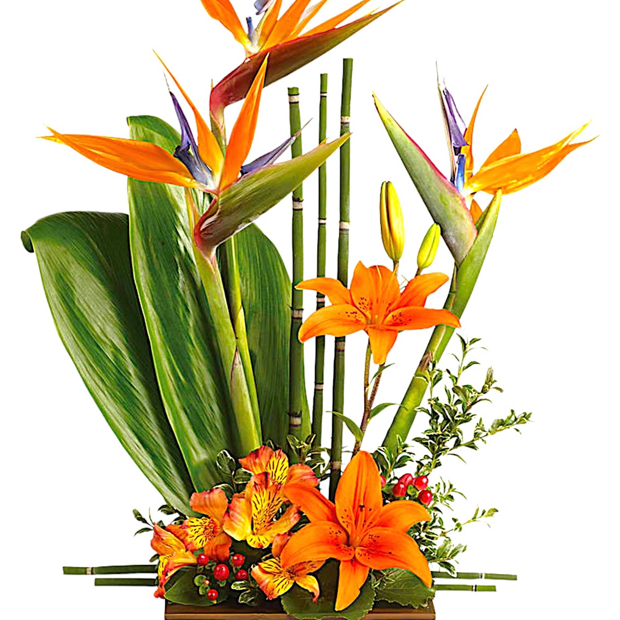 Looking for something with a bit of Zen? With tall birds of