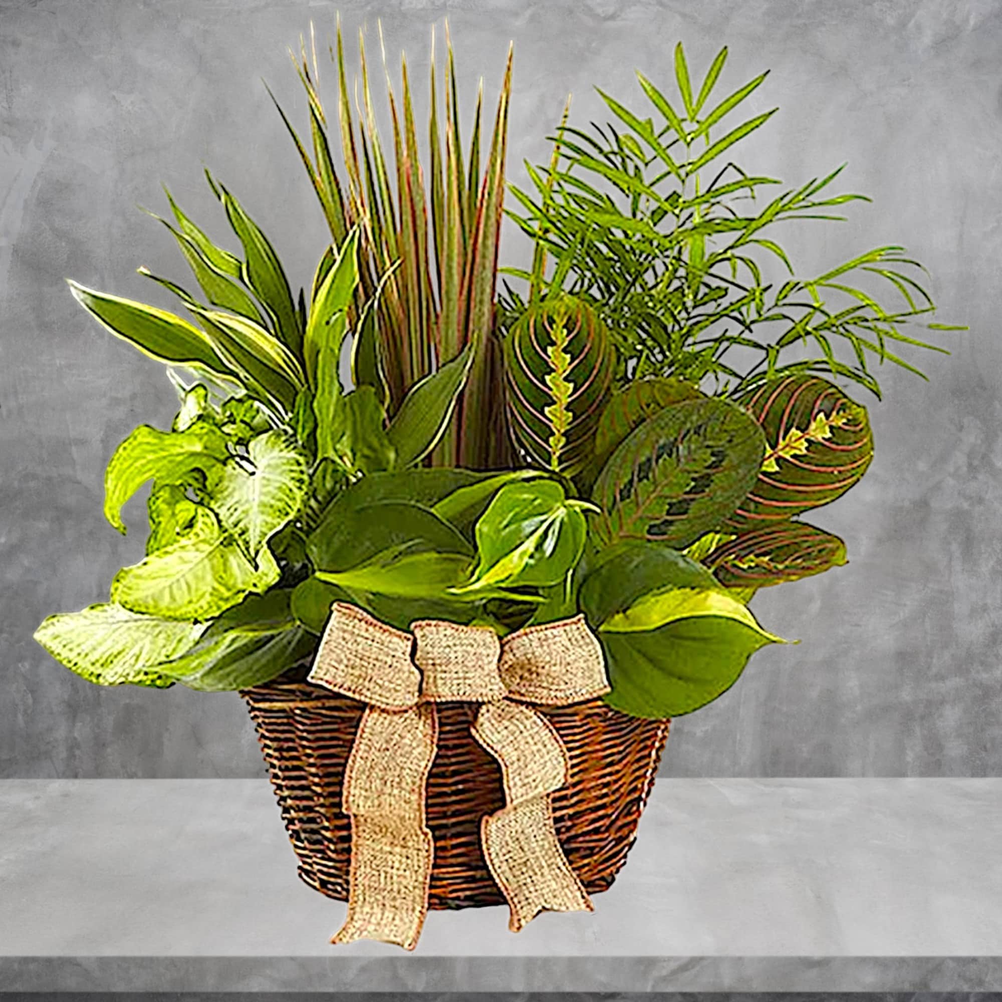 Who says you need to go outside to enjoy the natural beauty