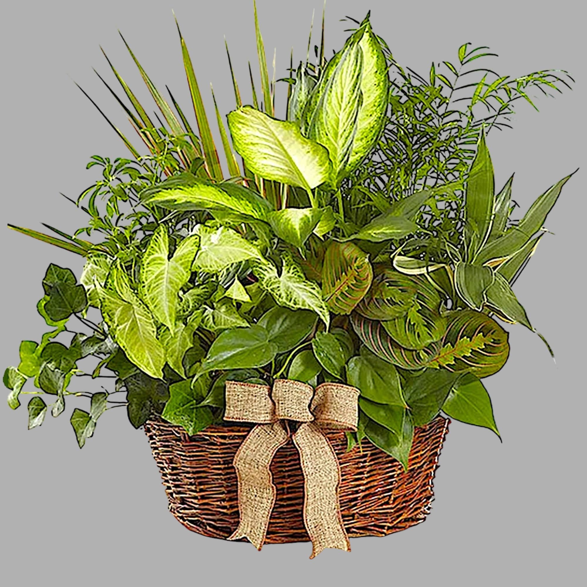 Who says you need to go outside to enjoy the natural beauty