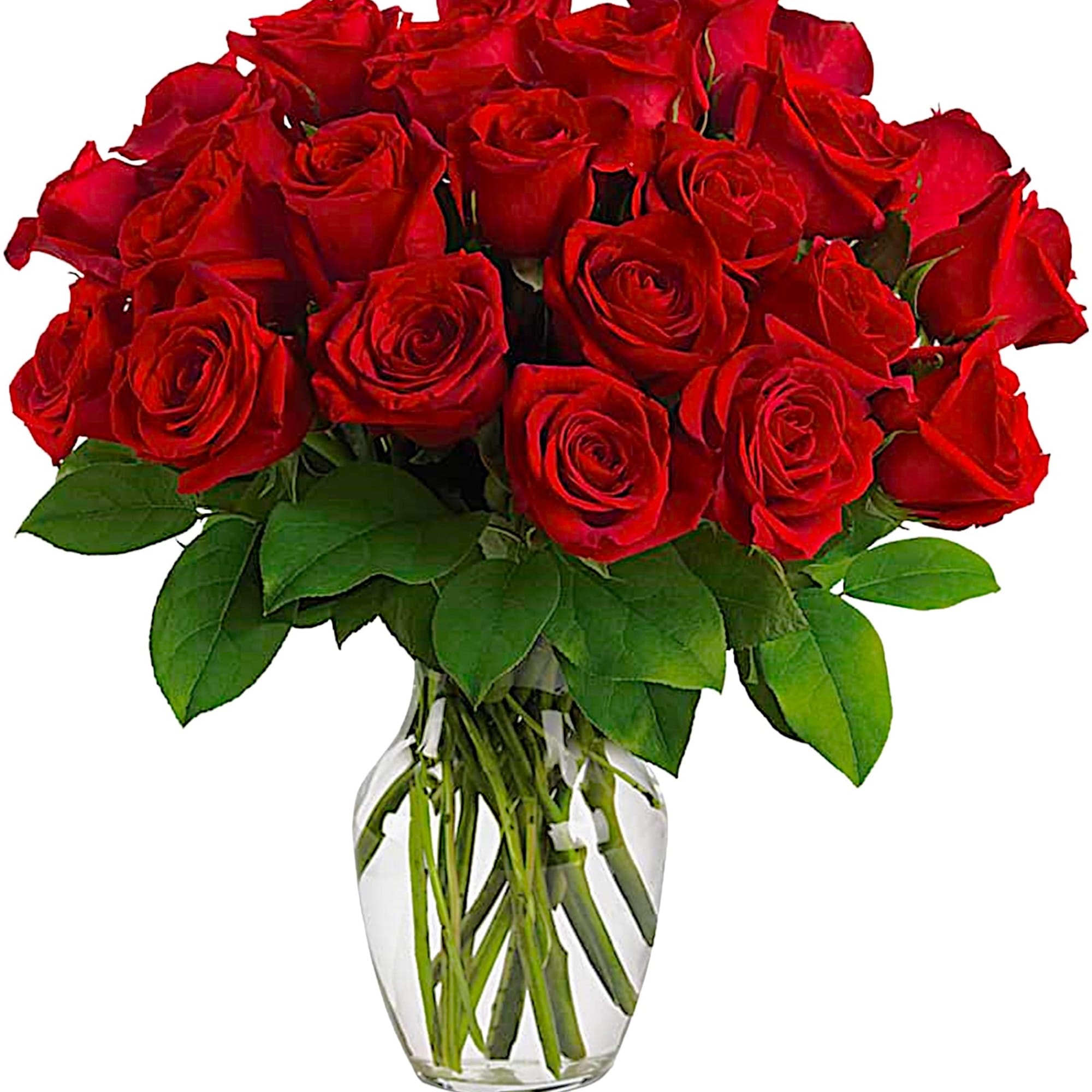 Many a heart has been won with luscious red roses. If there&#039;s