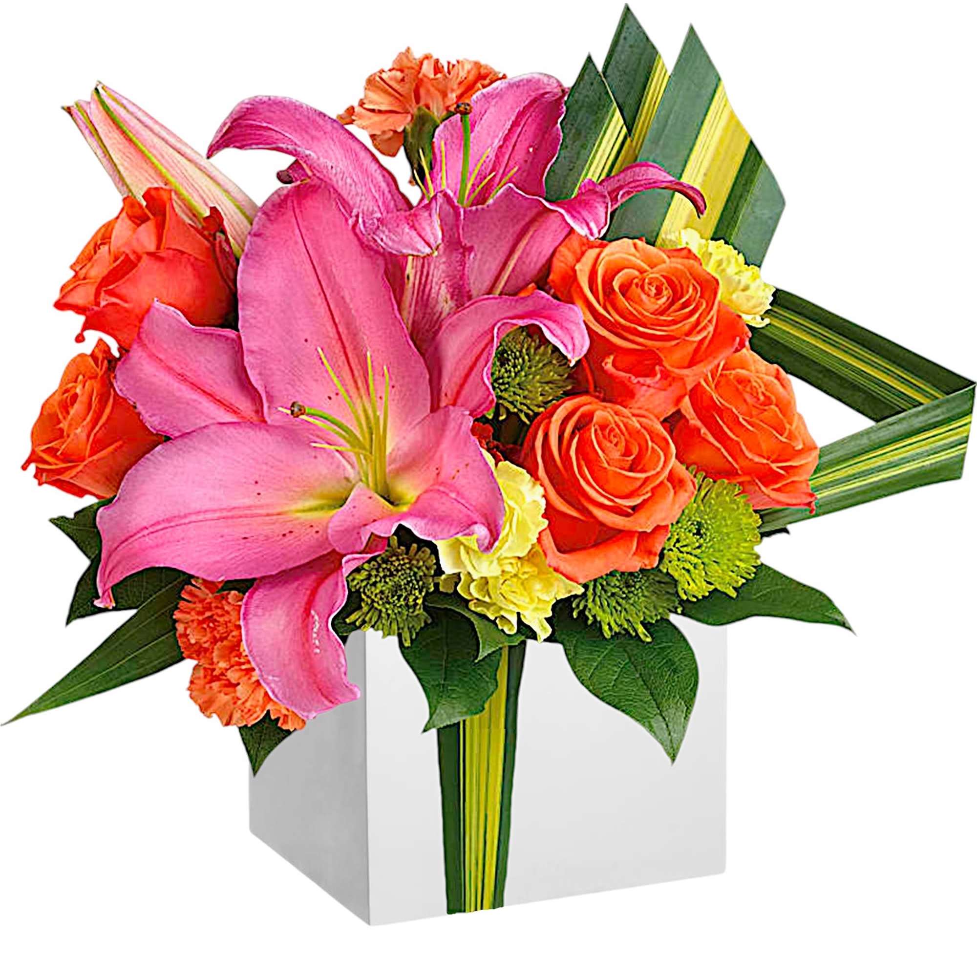 Color them happy when this cute cube arrives! Glorious pink lilies and