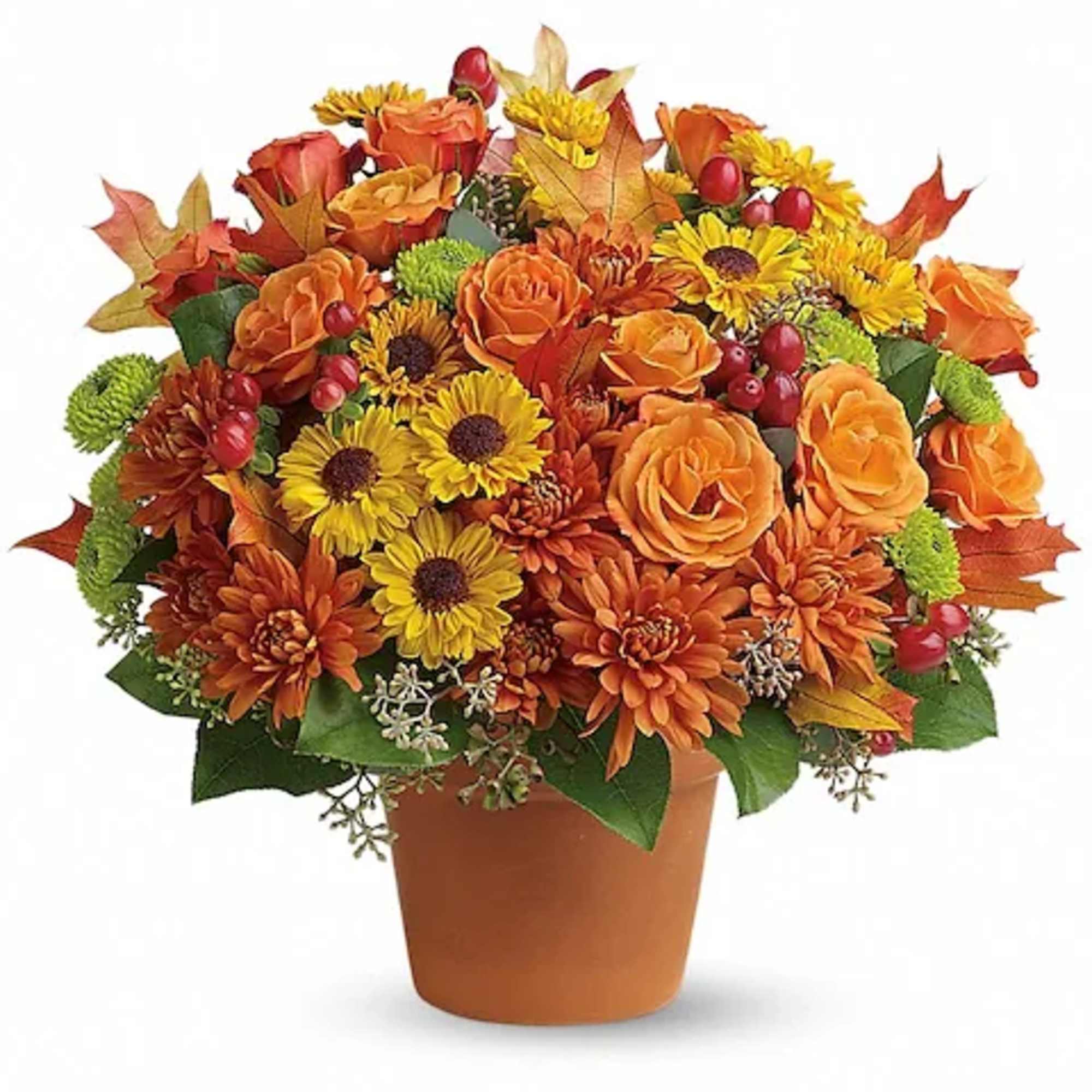 Chrysanthemums in autumnal colors of yellow, bronze and green - set off