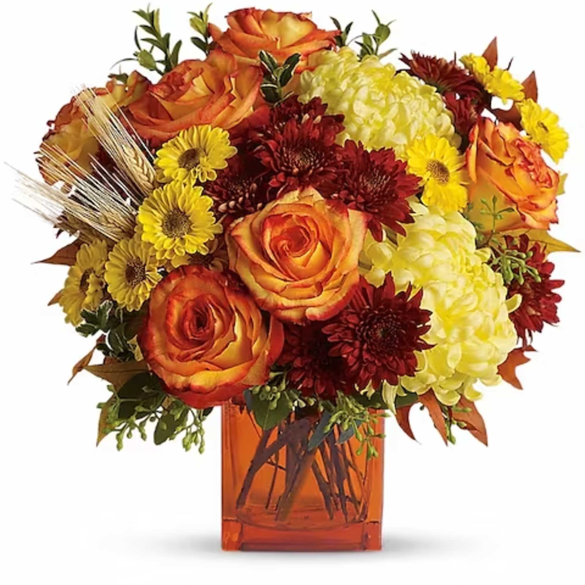 Autumn is an awesome season and it&#039;s meant to be celebrated in