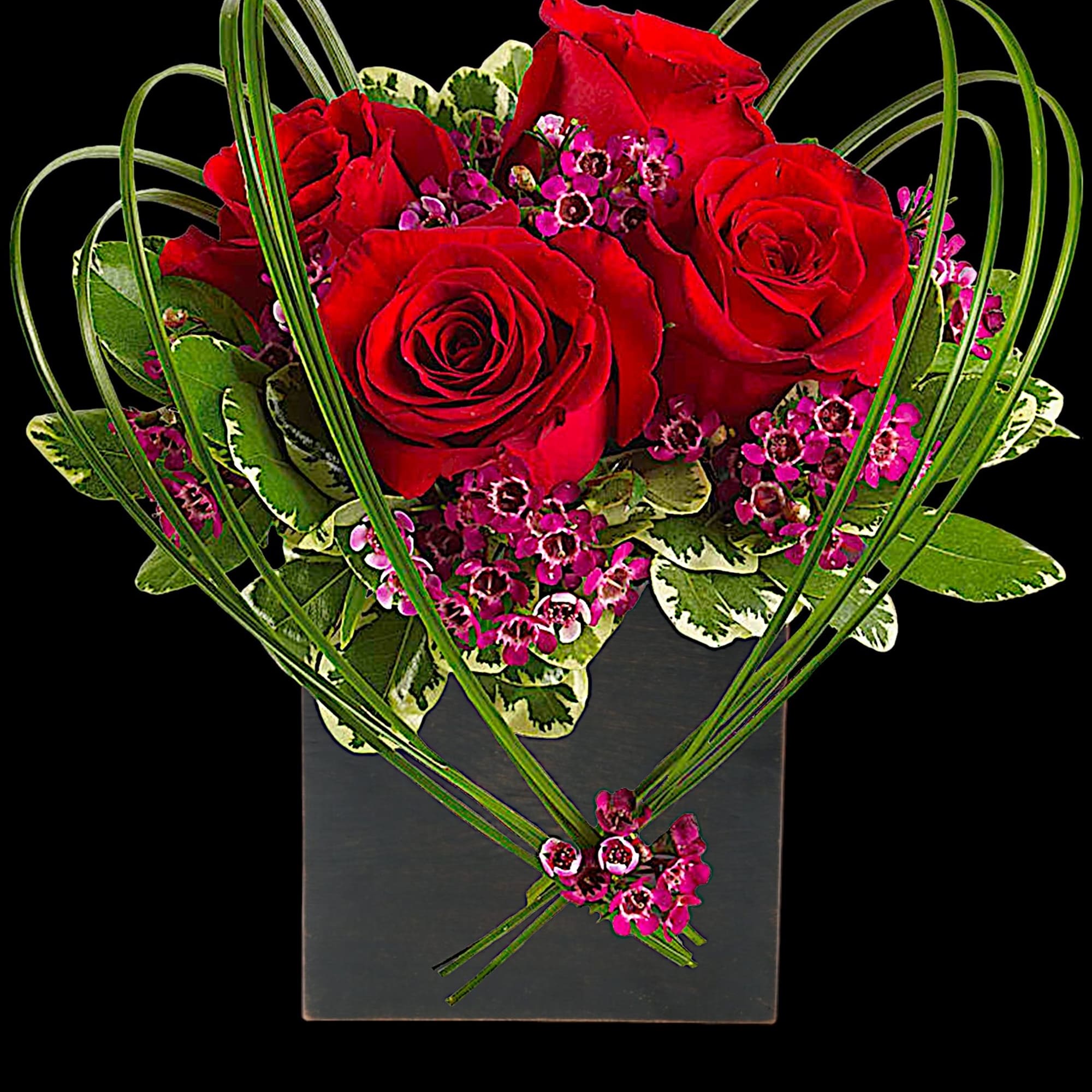 A graceful heart of bear grass... tied with purple waxflower blossoms... forms