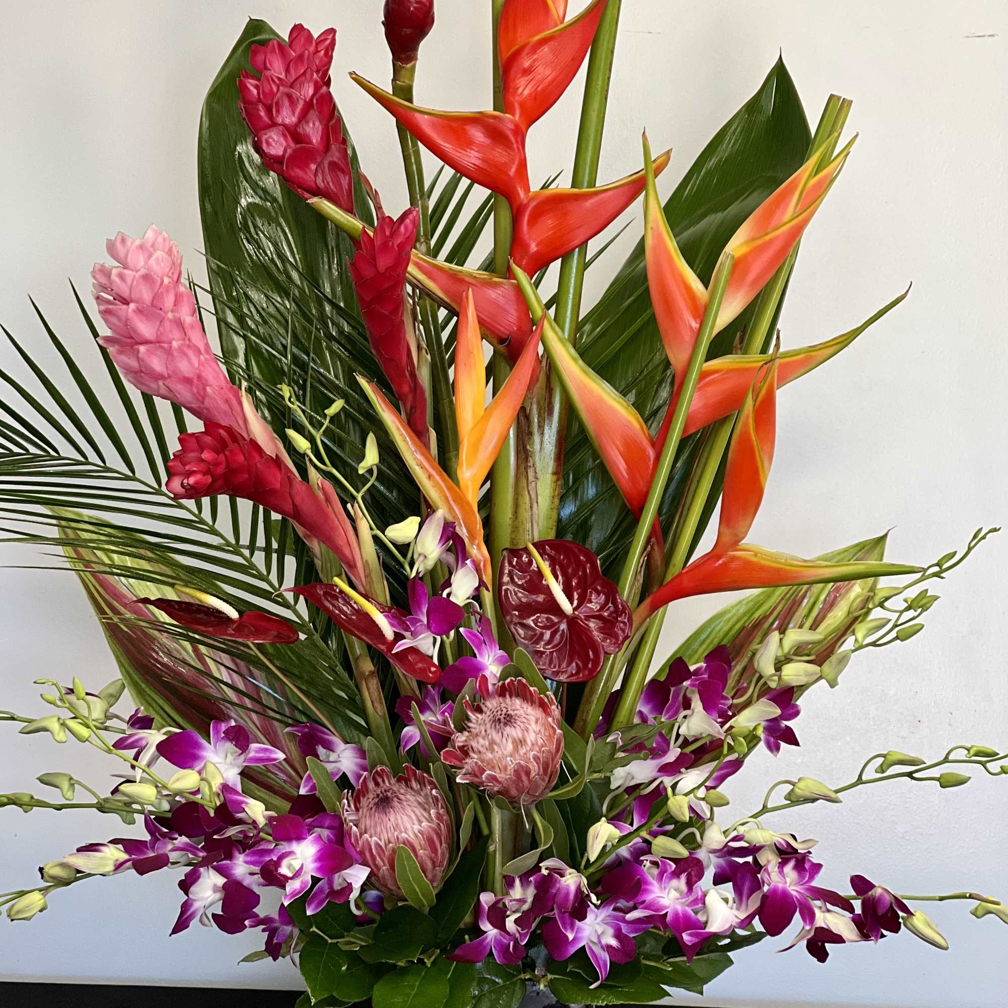 Head to the tropics with this spectacular and exotic display of orchids Head to the tropics with this spectacular and exotic display of orchids