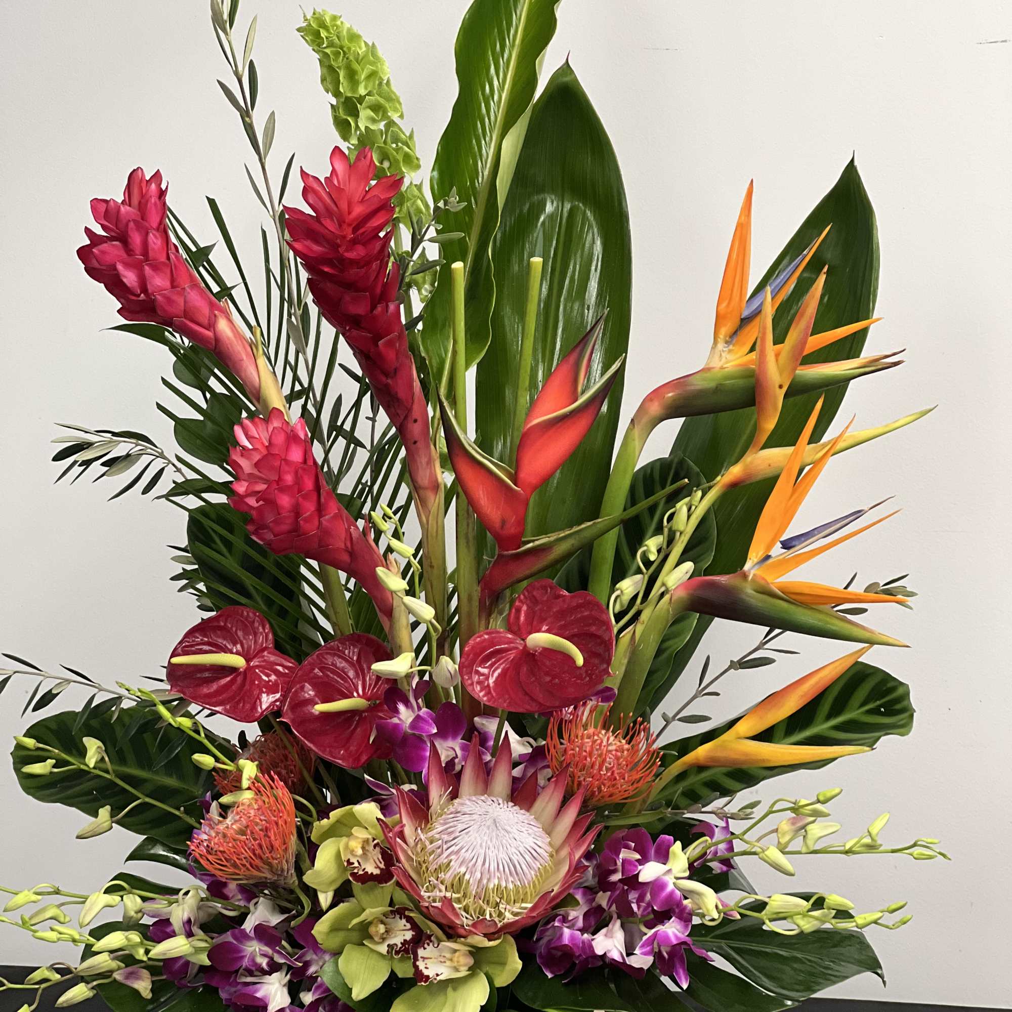 Head to the tropics with this spectacular and exotic display of orchids Head to the tropics with this spectacular and exotic display of orchids