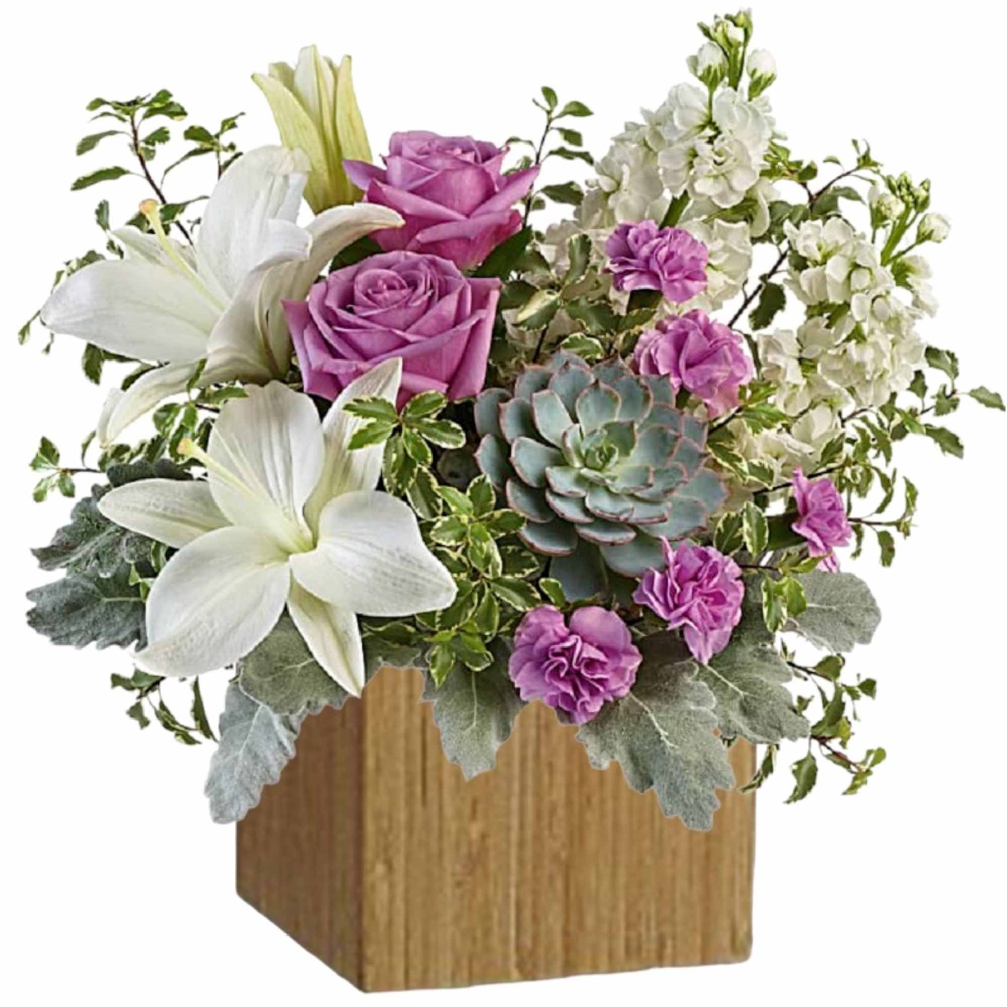 This super chic, mid-mod masterpiece pairs a luxe living succulent with lush