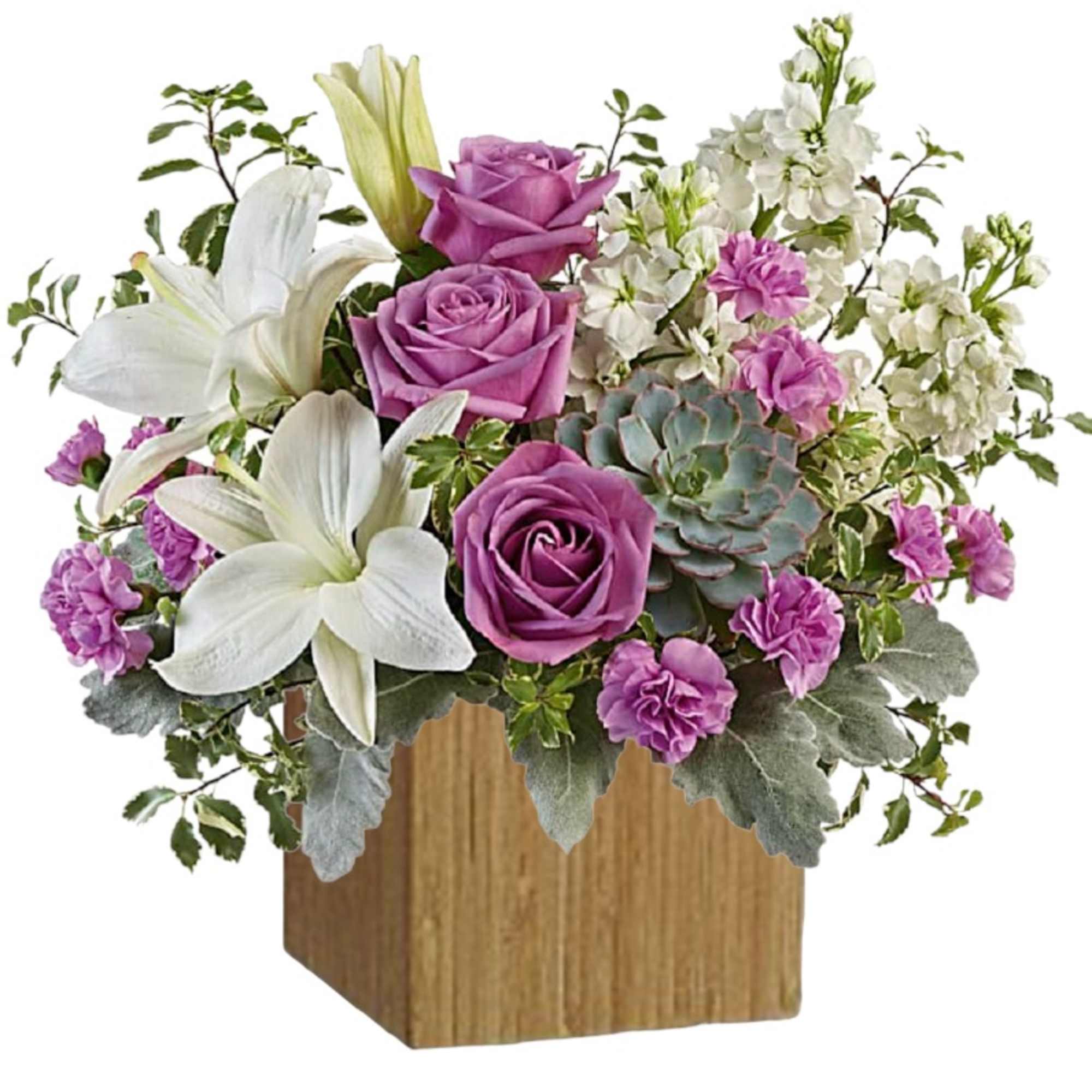 This super chic, mid-mod masterpiece pairs a luxe living succulent with lush