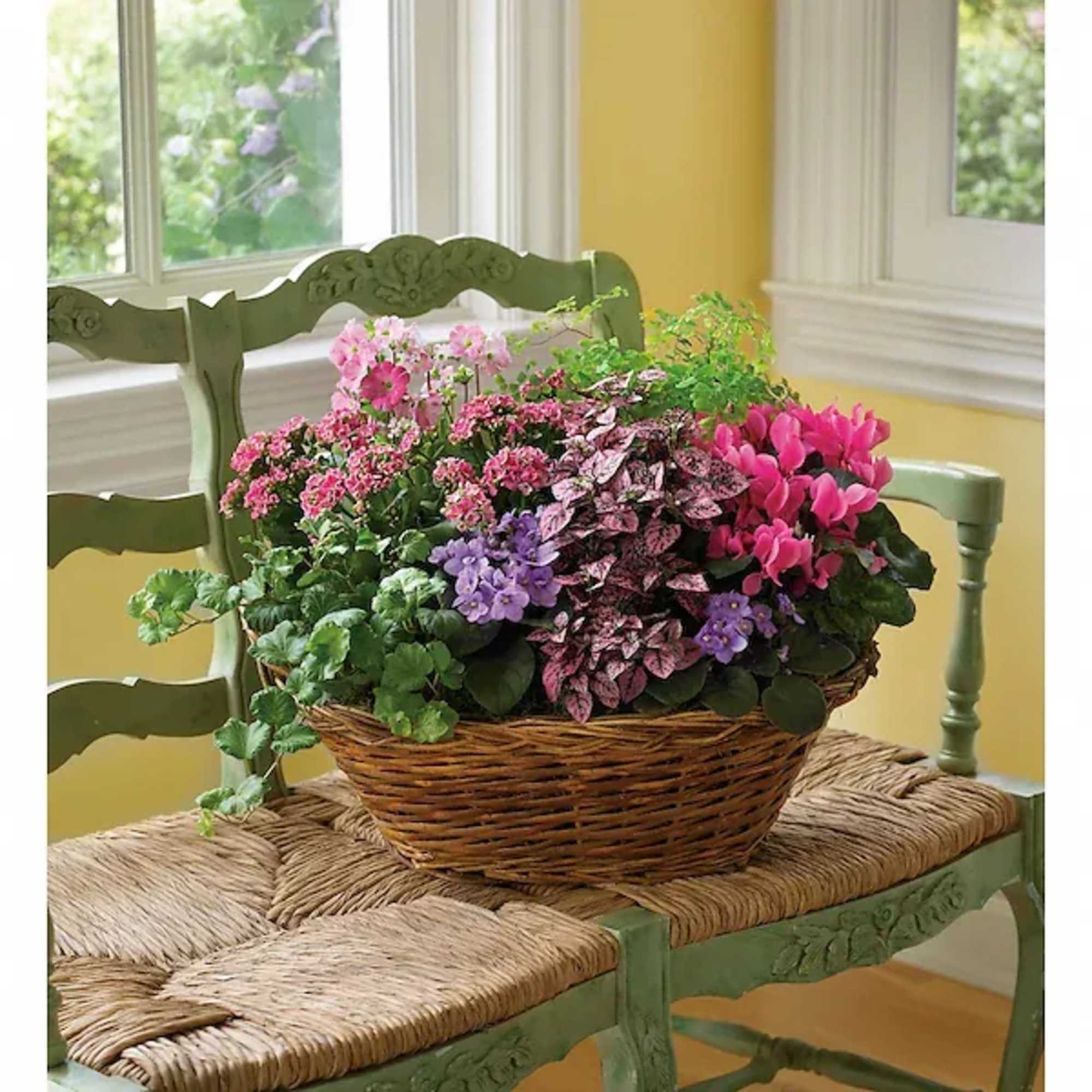 Simply captivating. Simply charming. Simply chic. This pretty basket is overflowing with