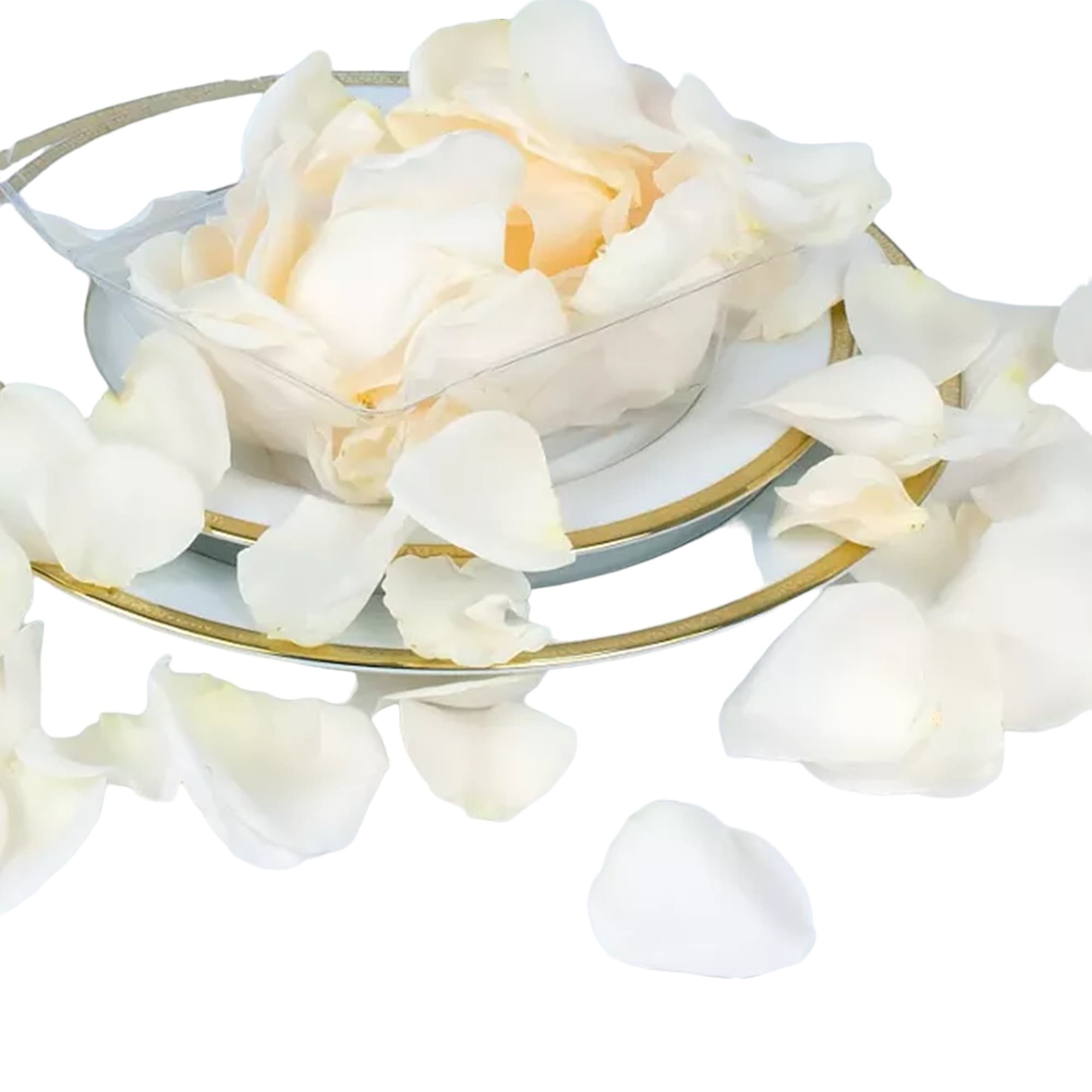 Highlighted with classic white roses &amp; complemented with baby&#039;s breath, this wedding