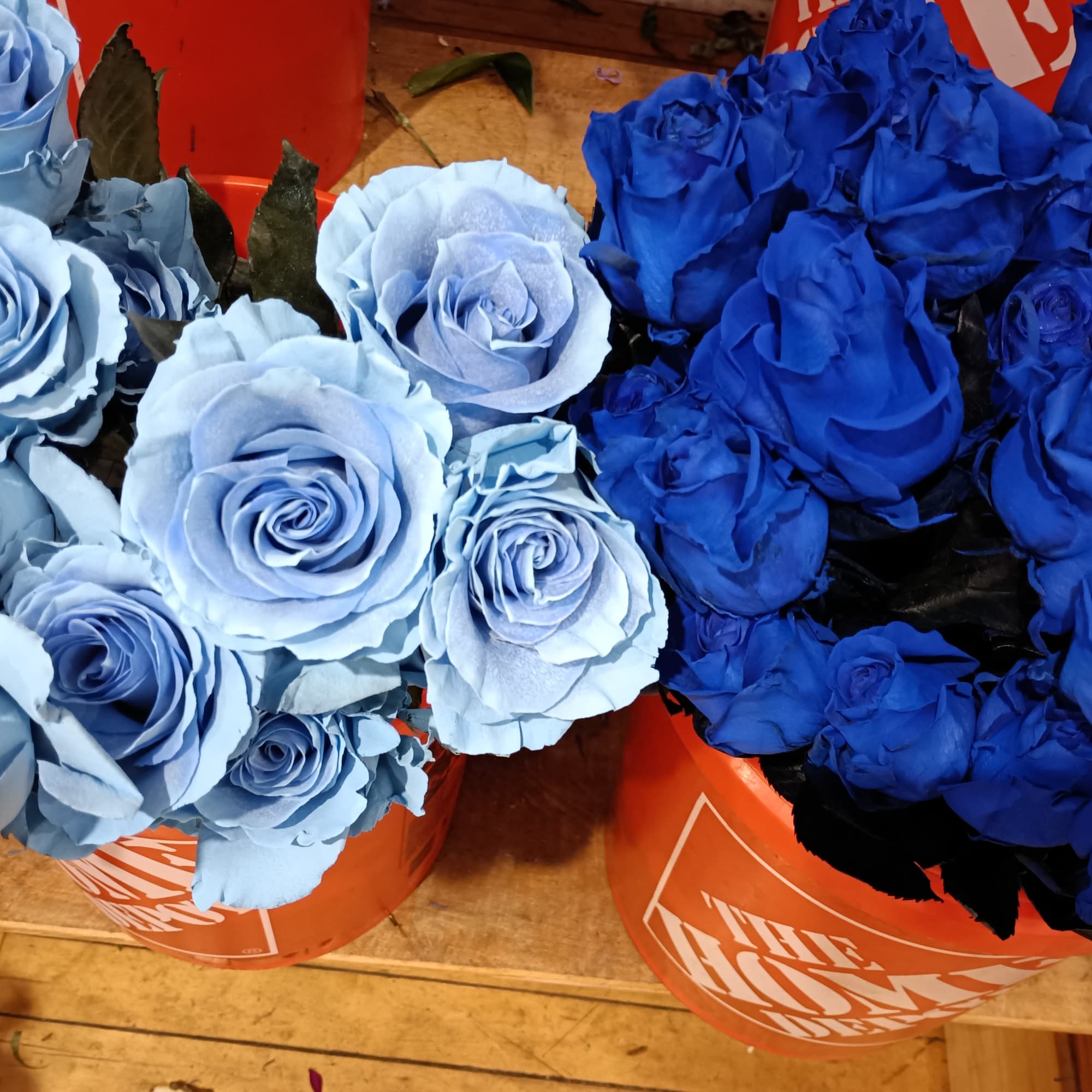 Beautiful mix of unusual light and dark blue roses, white roses, alstroemeria
