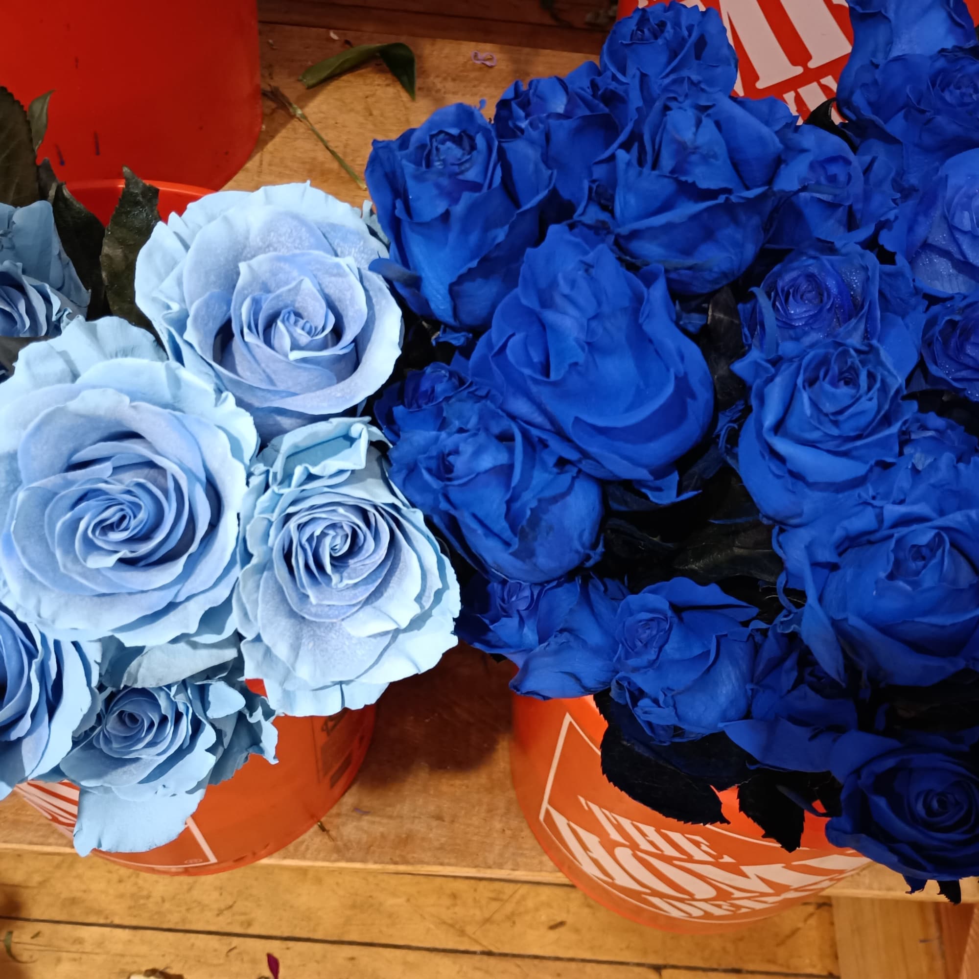 Beautiful mix of unusual light and dark blue roses, white roses, alstroemeria