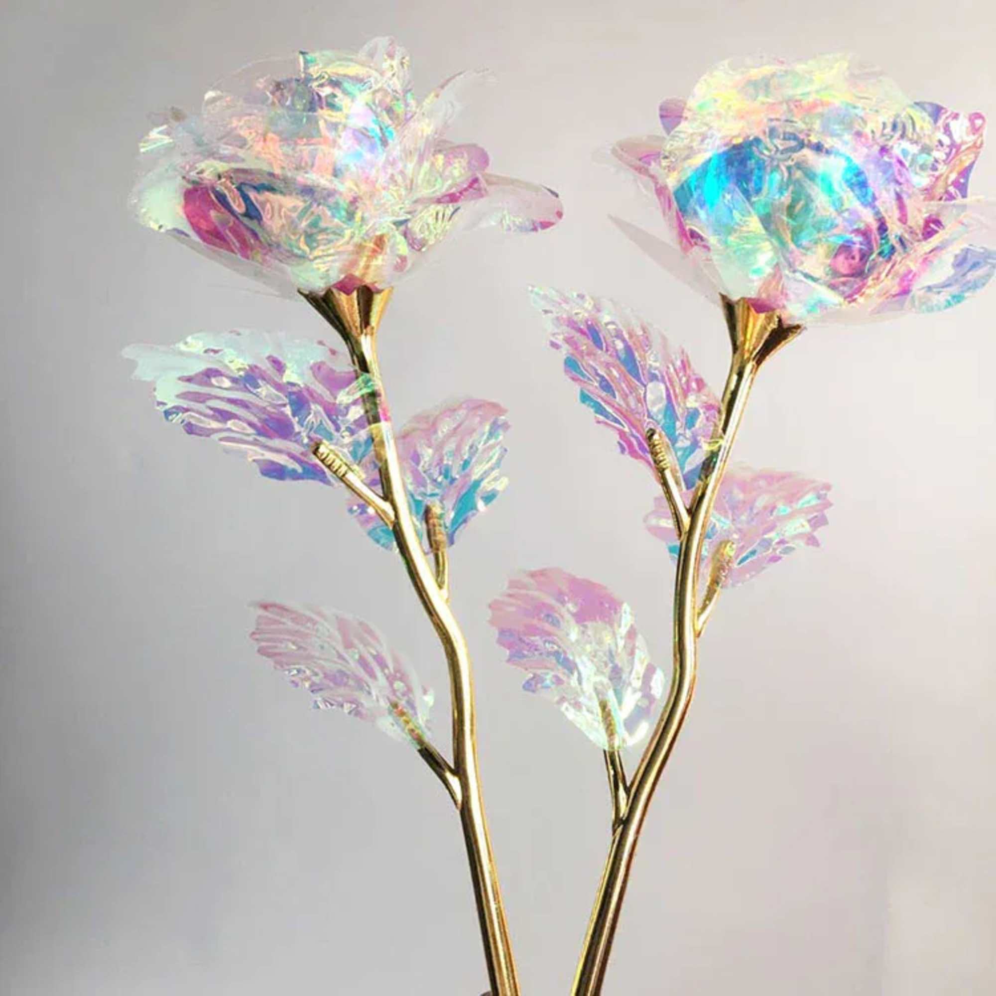 Make someone's day special with the Galaxy Rose! Whether it's for you Make someone's day special with the Galaxy Rose! Whether it's for you