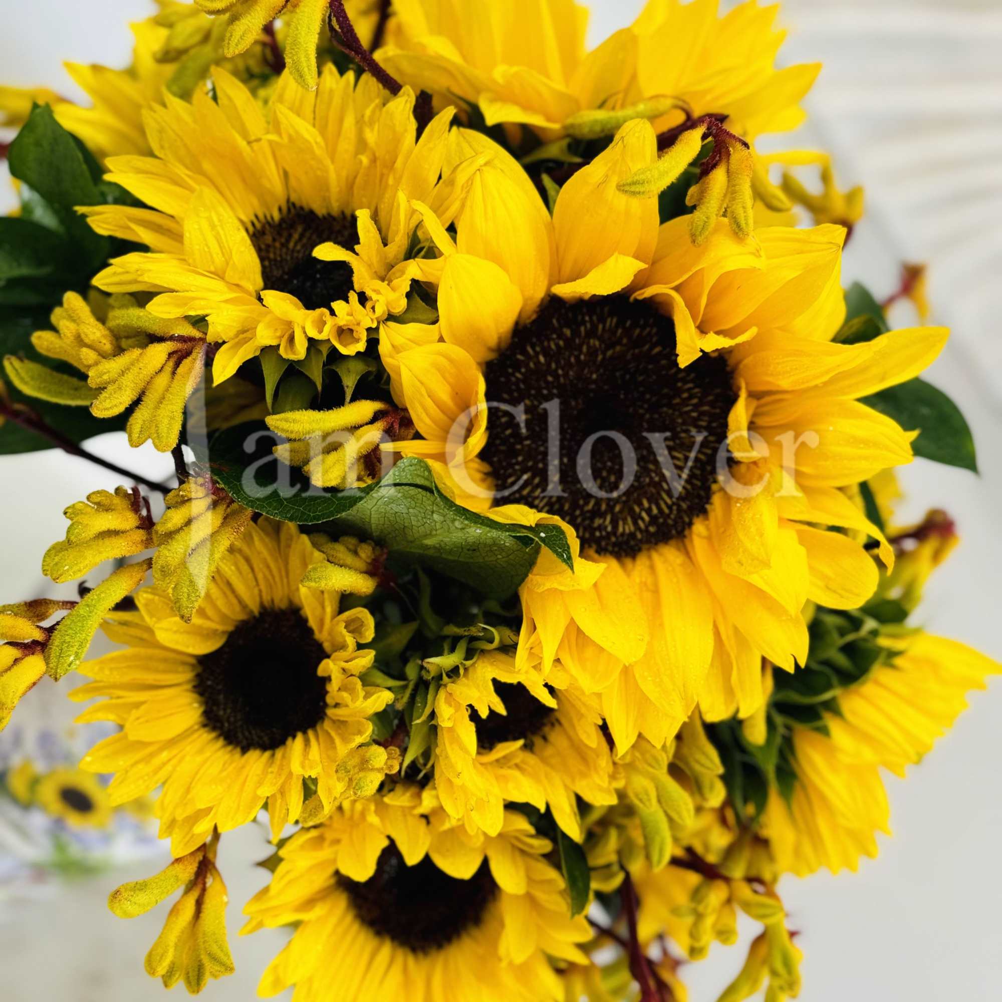 Bring some sunshine into your home or office. It&rsquo;s an elegant arrangement
