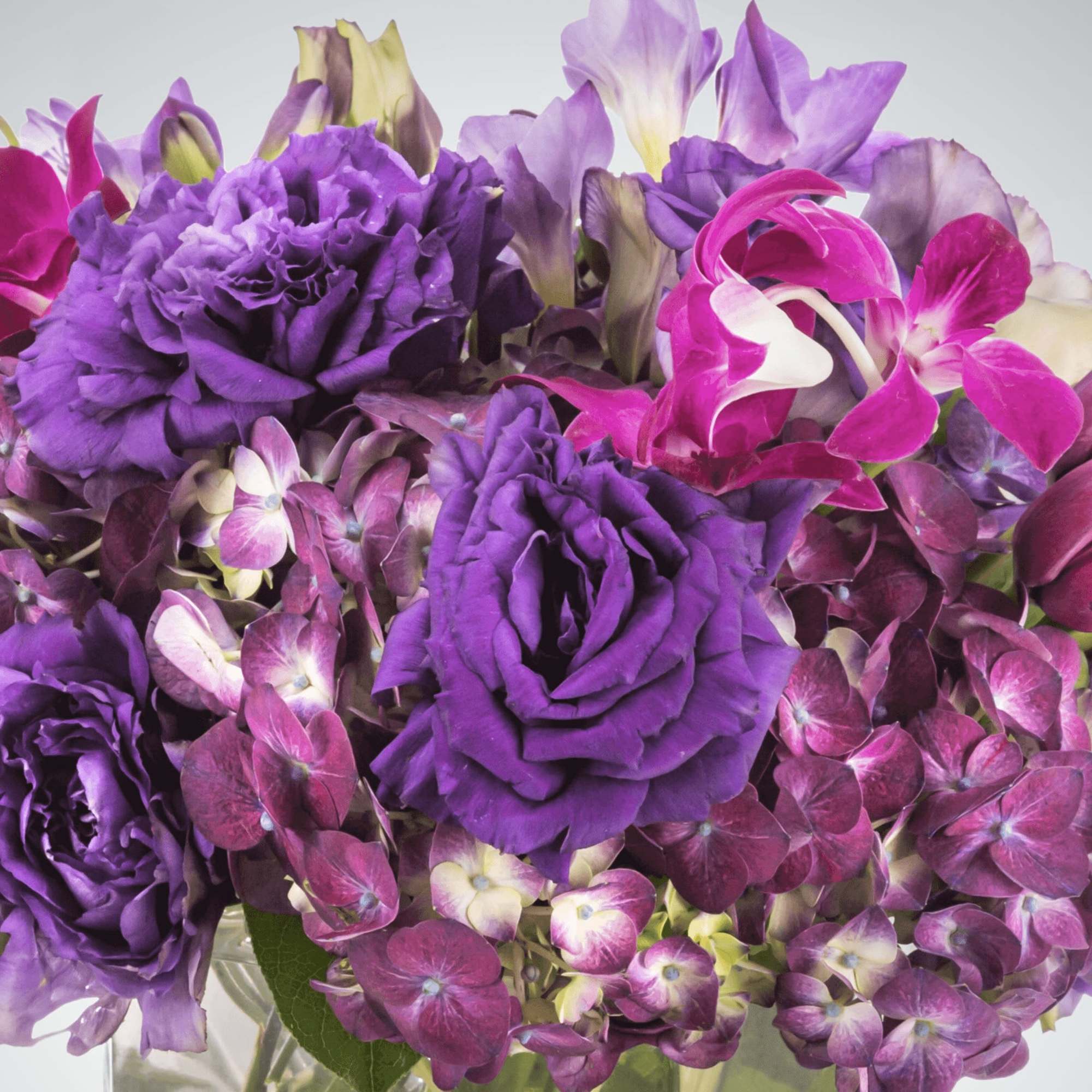 This monochromatic purple arrangement is the perfect bouquet to send for any