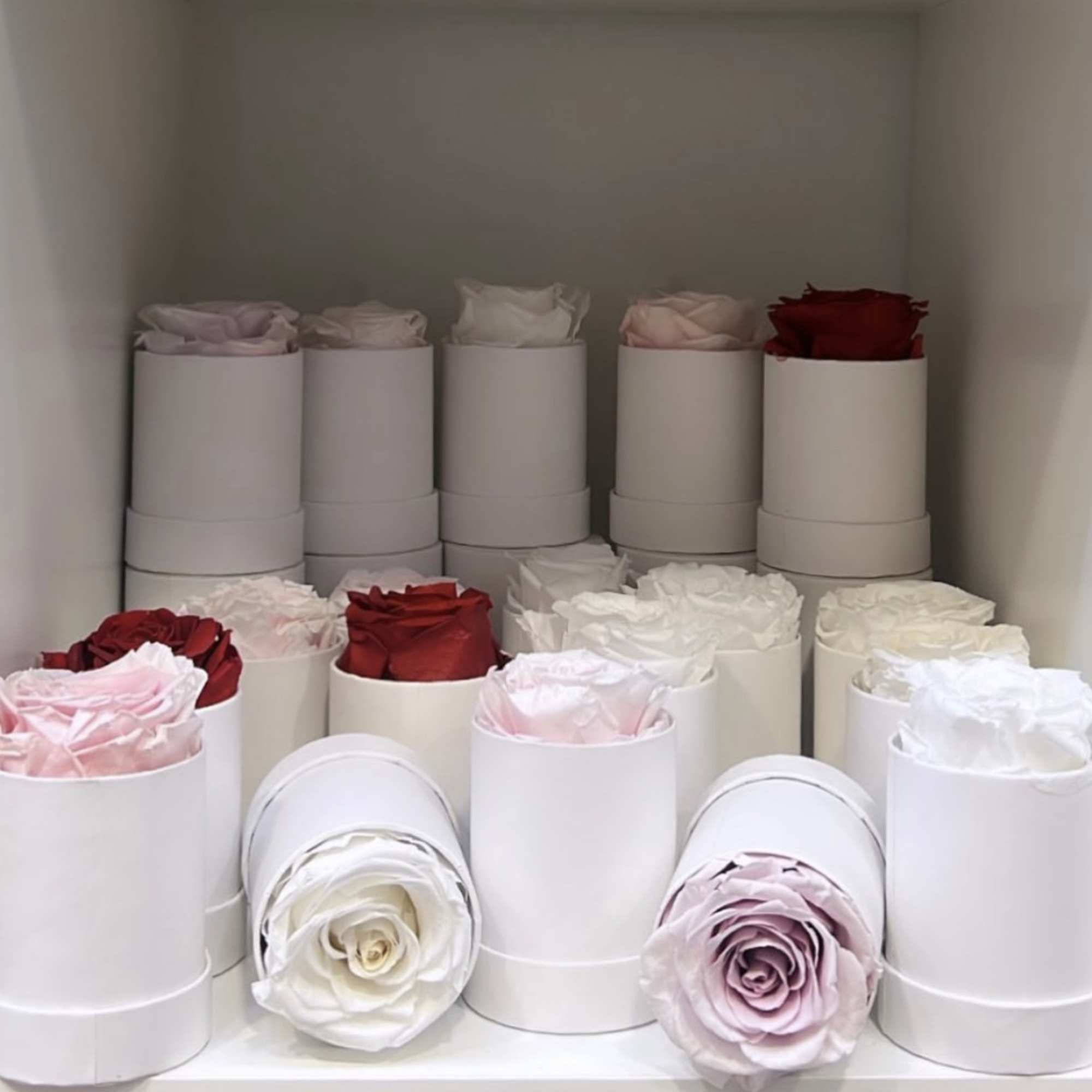 Keep it simple with one single preserved rose that sits perfectly in Keep it simple with one single preserved rose that sits perfectly in