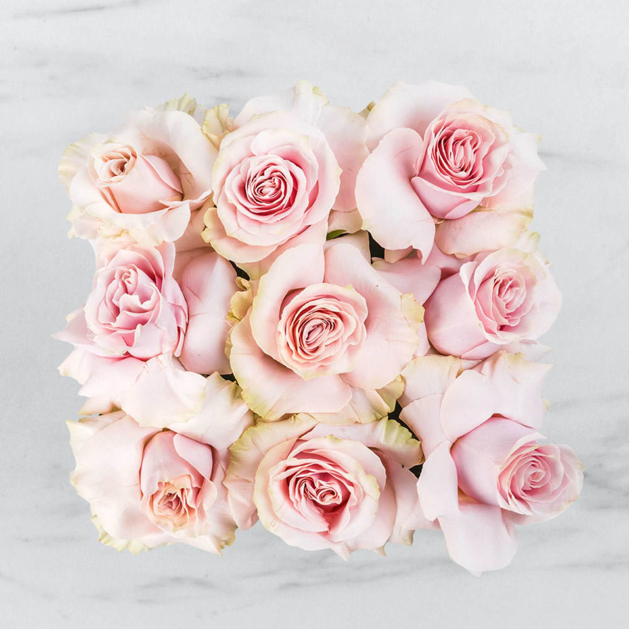 Share a sweet flower box filled with ink cotton candy roses. Perfect