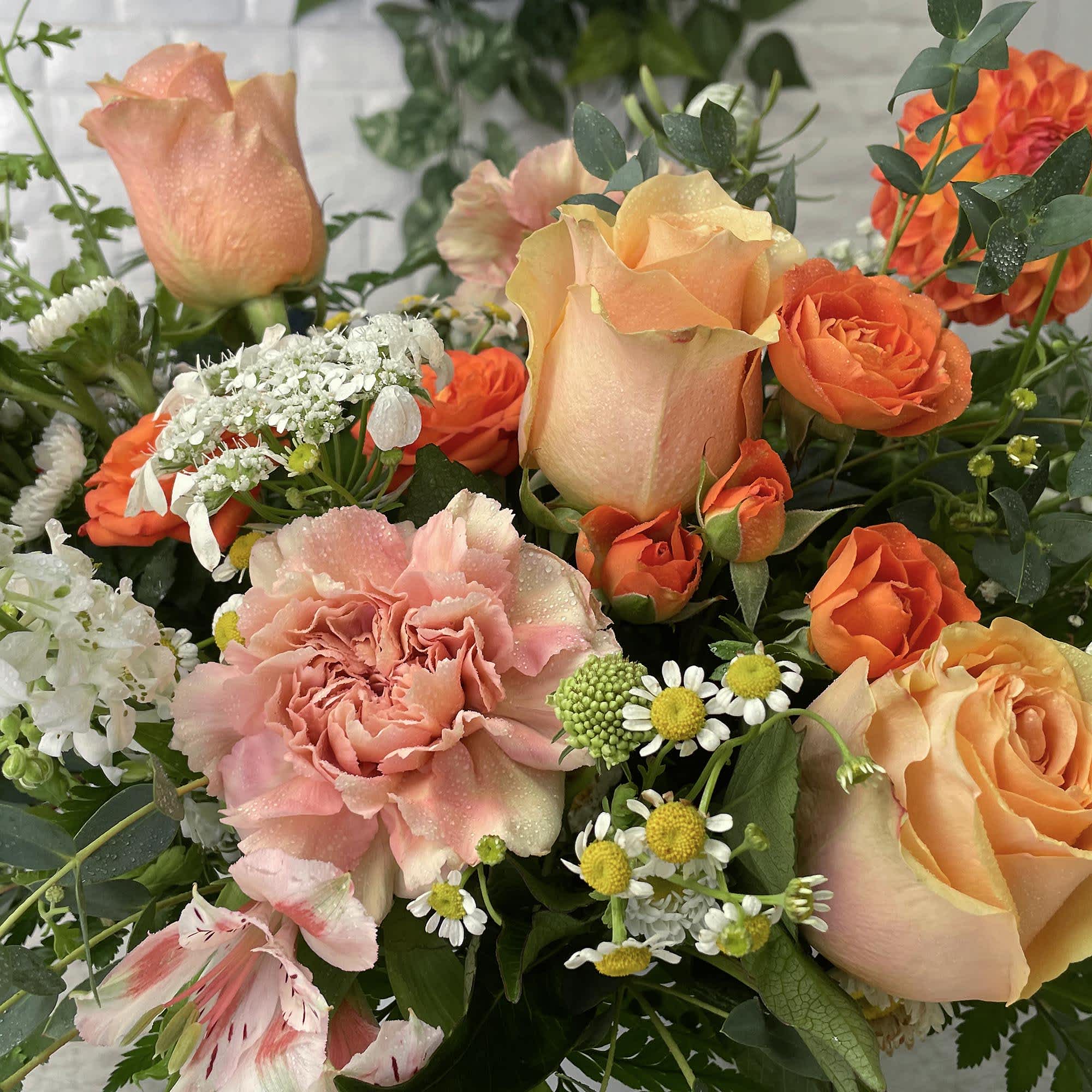 For a burst of color in your home, give Starburst a try.