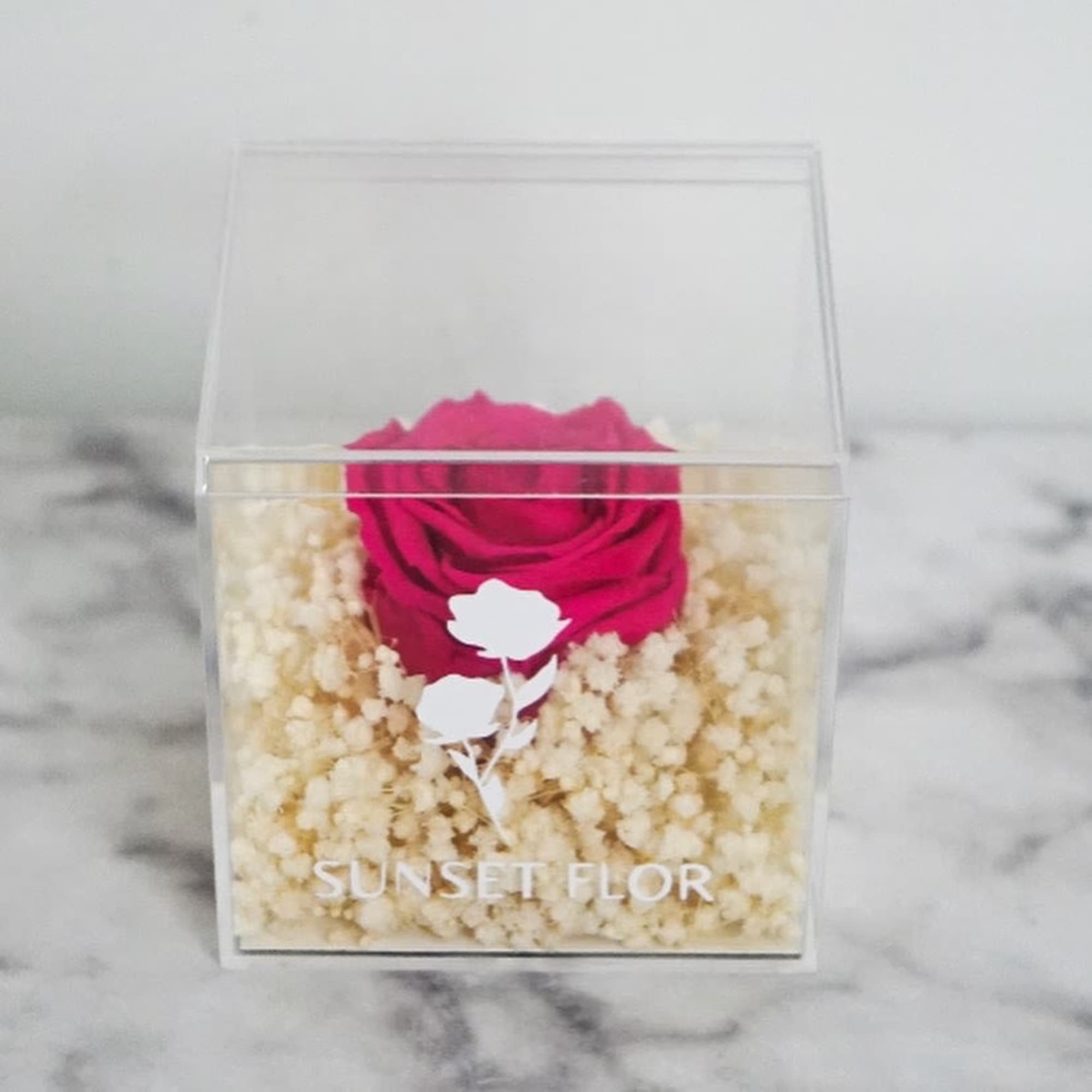 A Hot Pink Forever Rose lays elegantly in a bed of Preserved