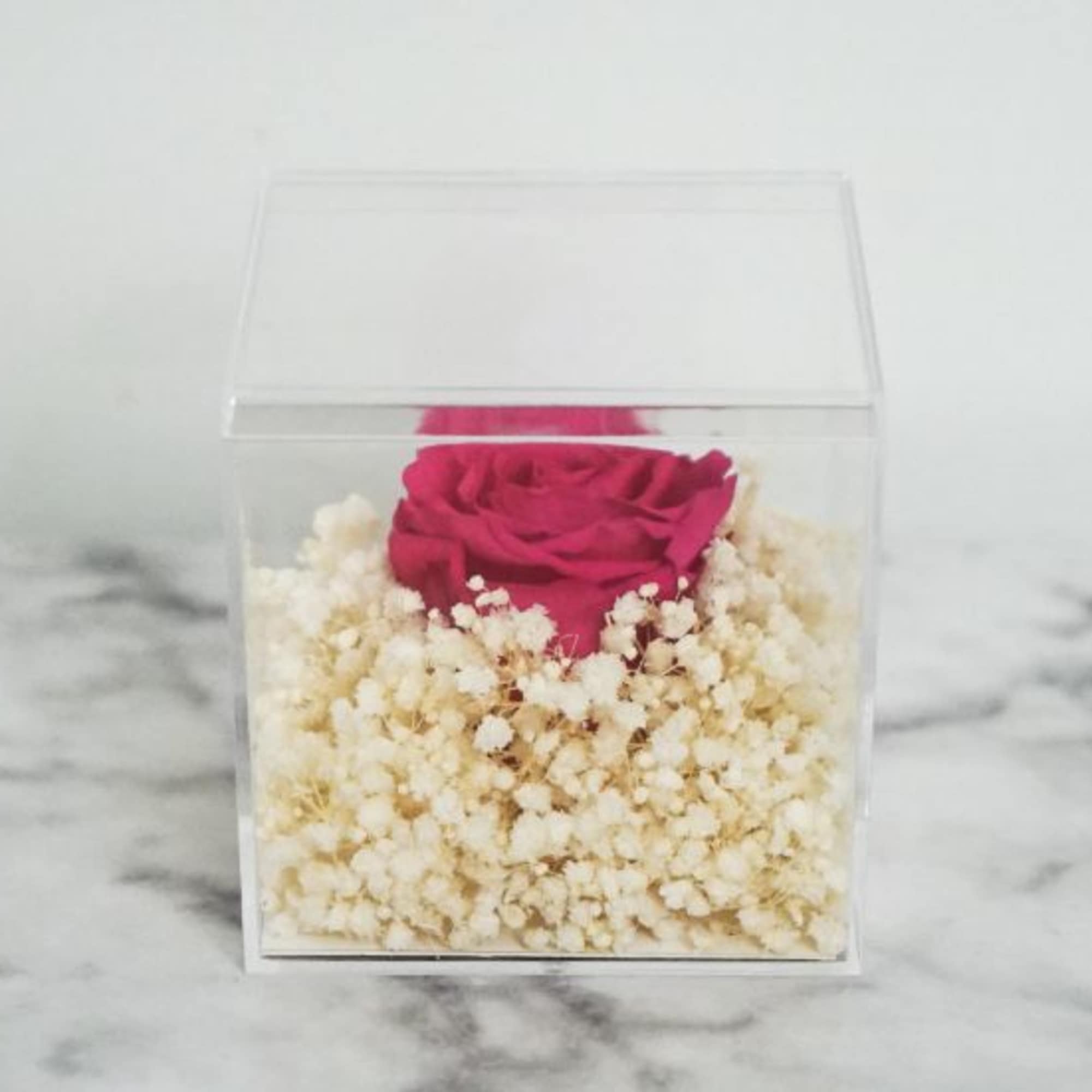 A Hot Pink Forever Rose lays elegantly in a bed of Preserved