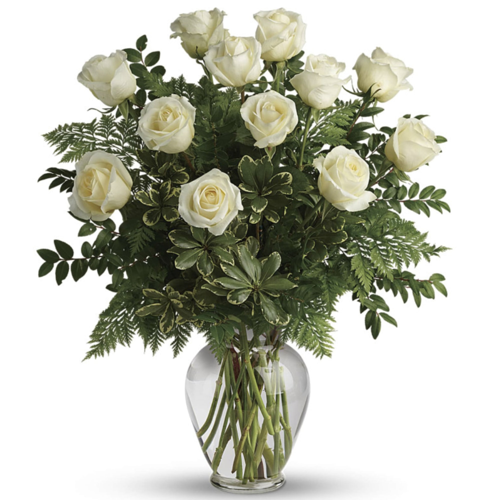 Local Same Day & Express Flower Delivery
This stunningly pristine bouquet is sure Local Same Day & Express Flower Delivery
This stunningly pristine bouquet is sure