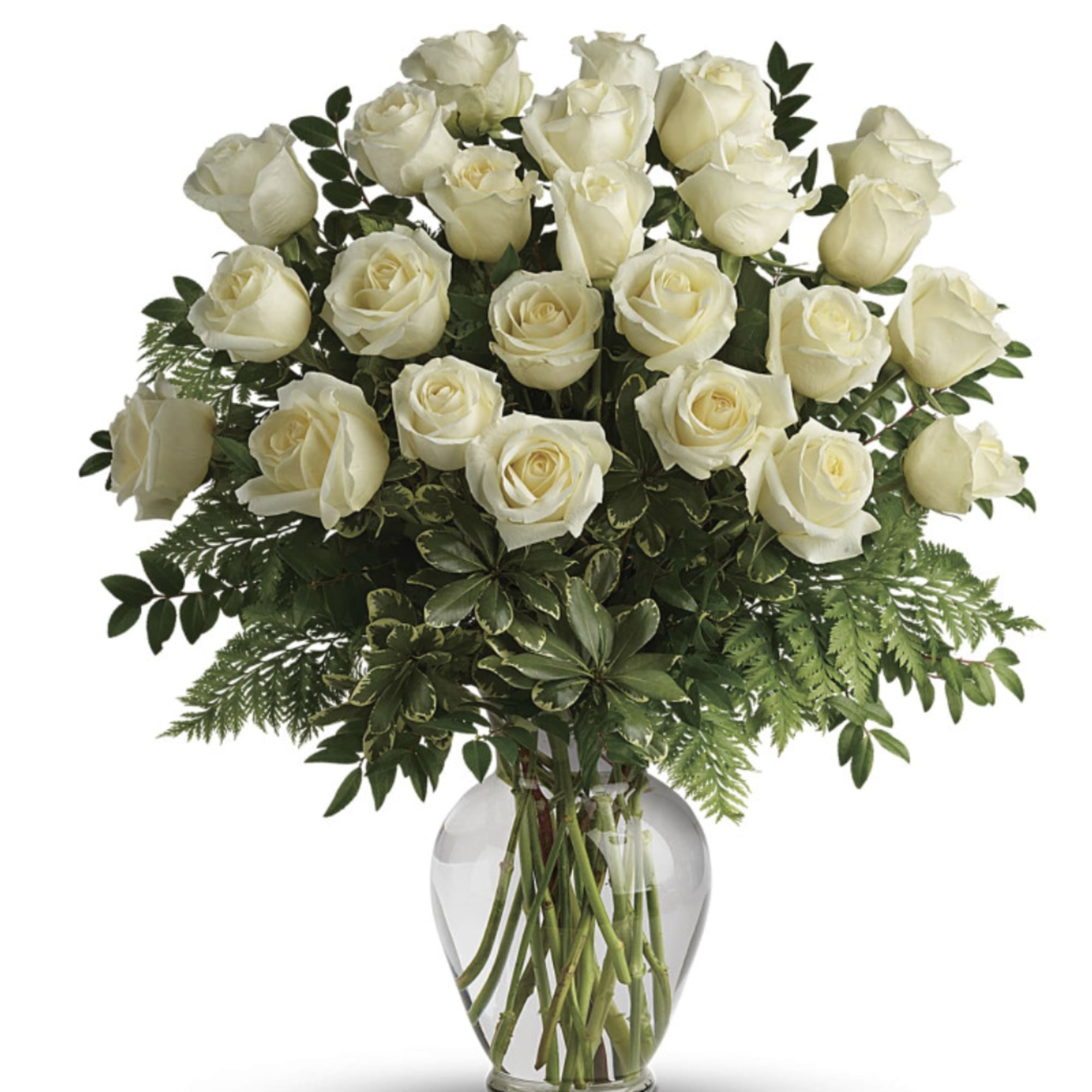 Local Same Day & Express Flower Delivery
This stunningly pristine bouquet is sure Local Same Day & Express Flower Delivery
This stunningly pristine bouquet is sure