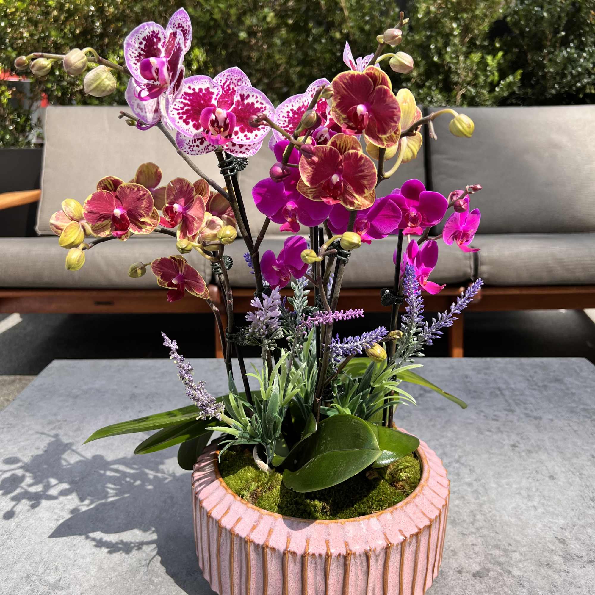 Group of mini orchids in pink ceramic dish 