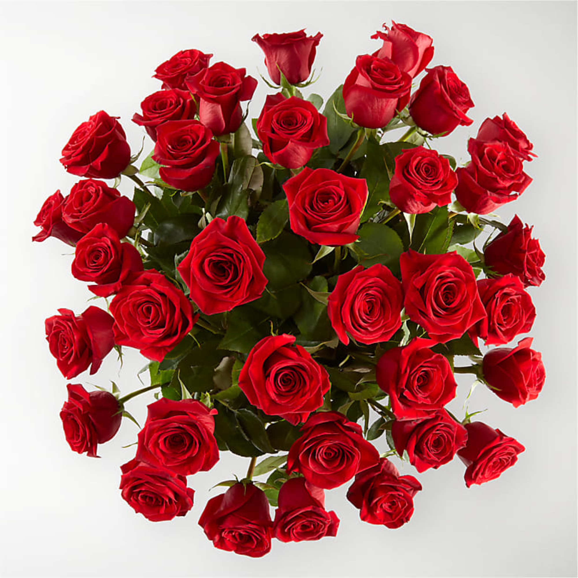 The Classic Love 36  Red Rose Bouquet is our ode to
