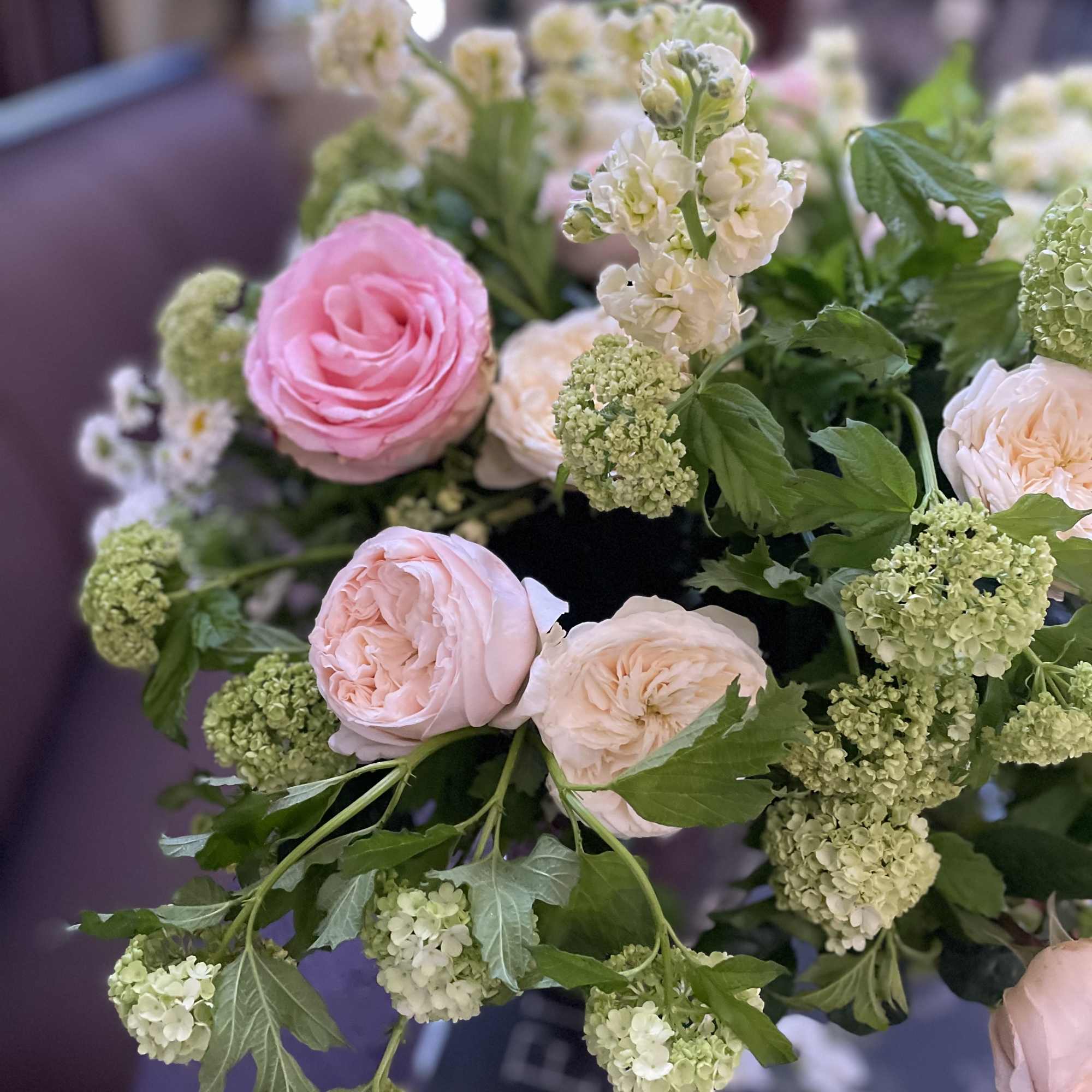 Fresh garden roses bring lovely positive energy into our homes . Elegant
