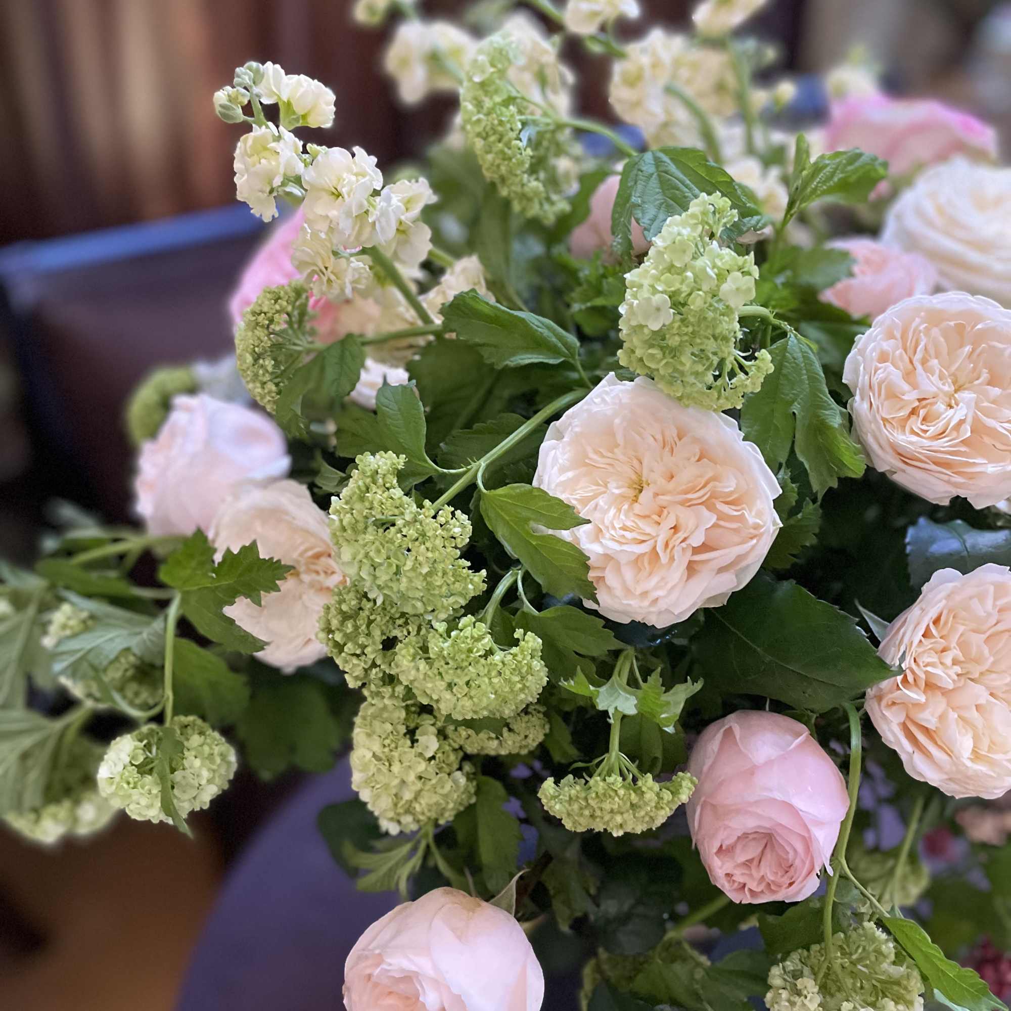 Fresh garden roses bring lovely positive energy into our homes . Elegant