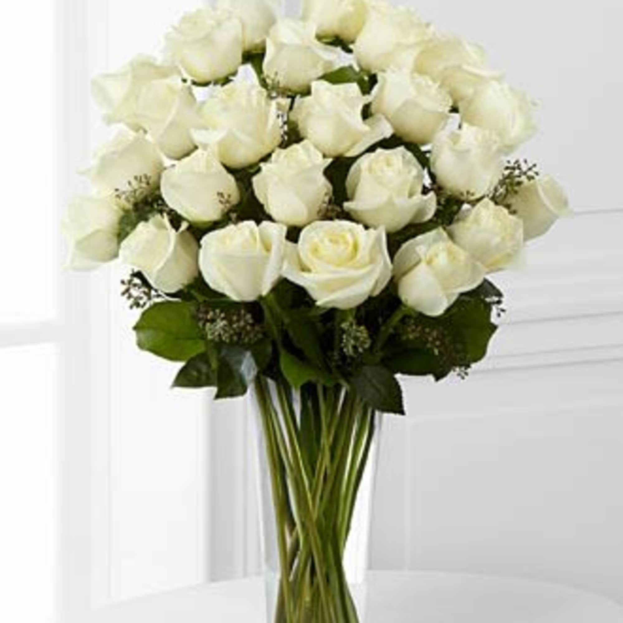 The beauty of white roses is unchallenged. Representing innocence, their versatility makes