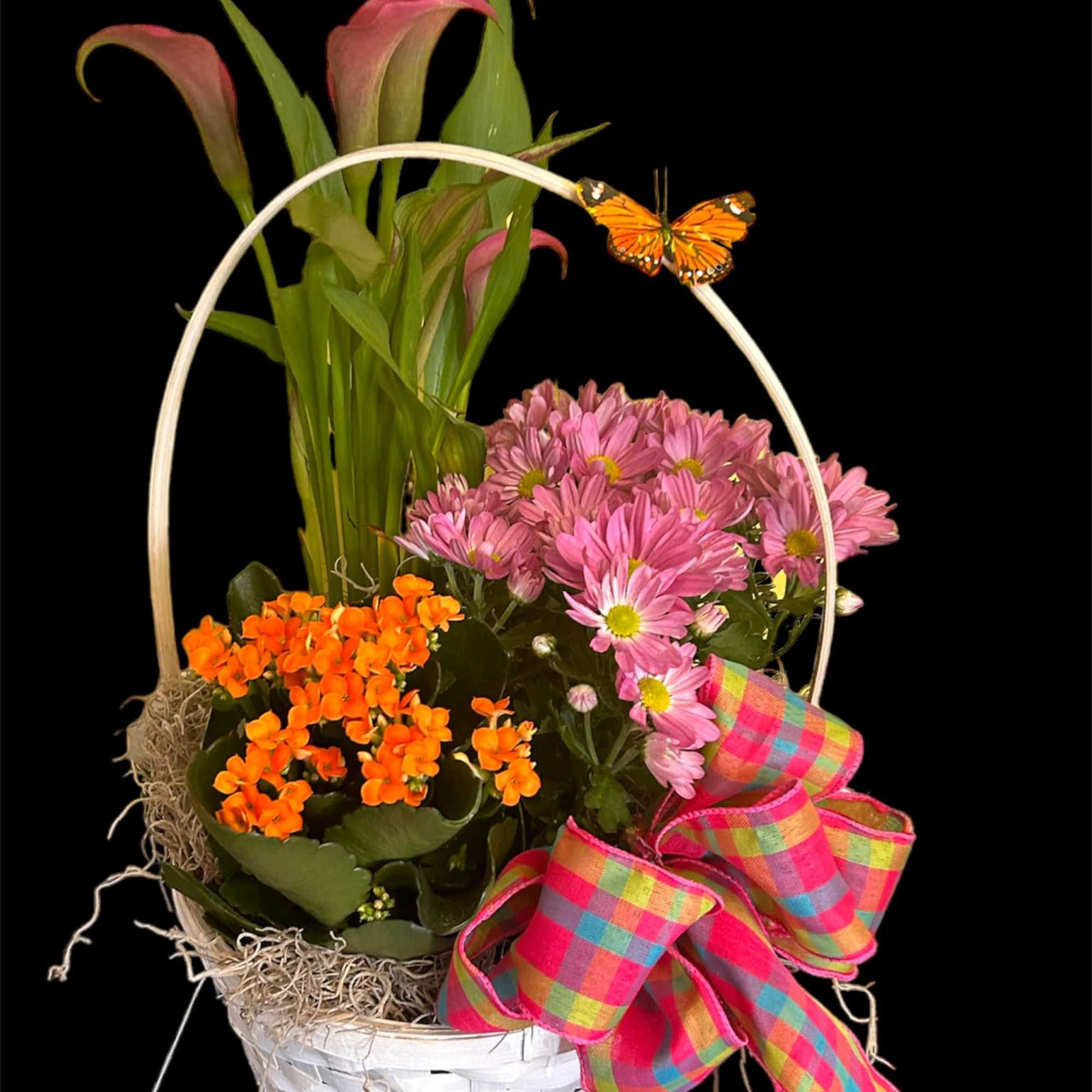 BRINGING A LITTLE SUNSHINE INSIDE!!