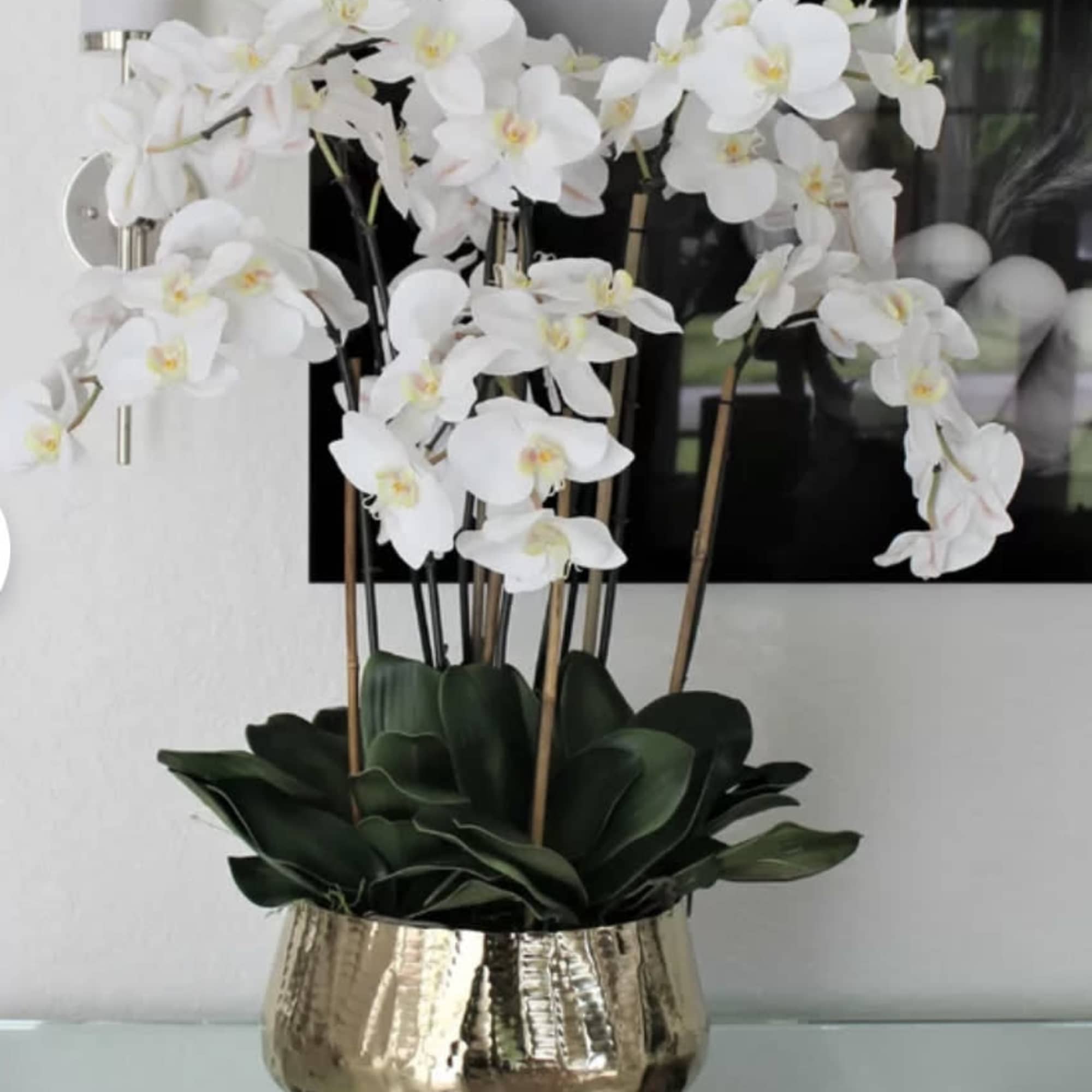 This will last and continue to impress. Full size and luxury style.