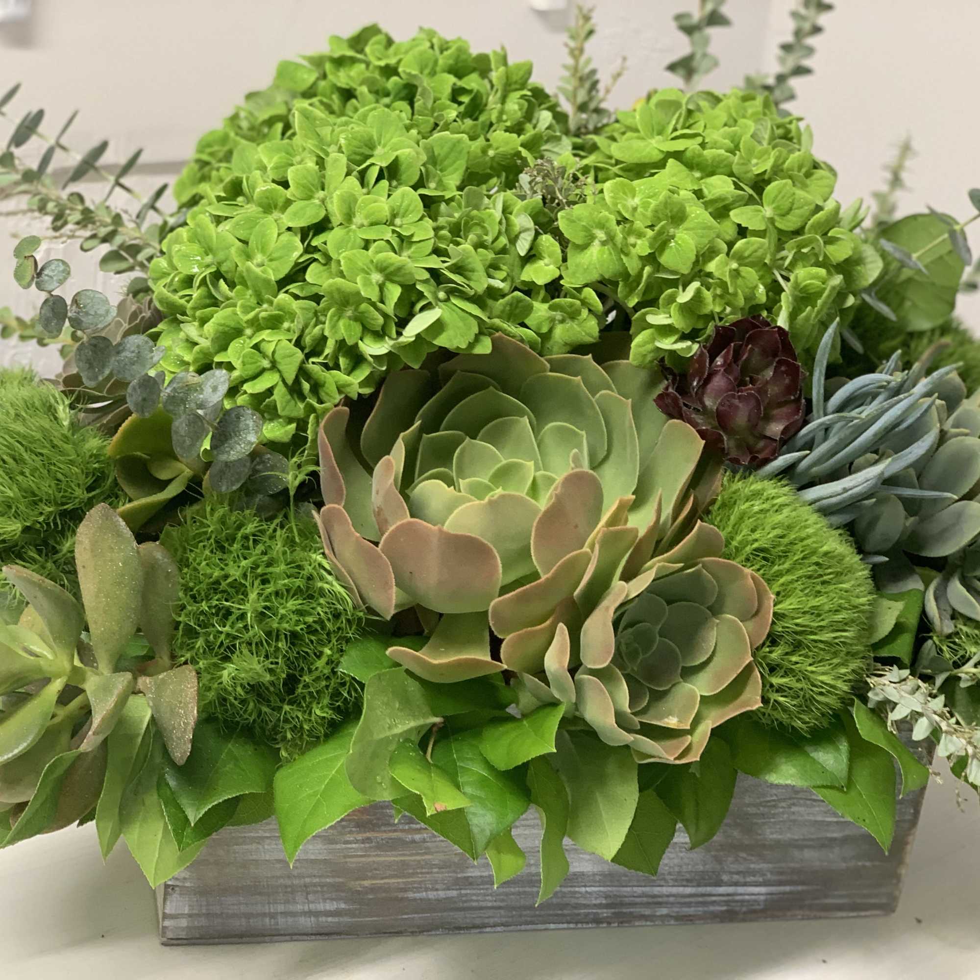 Something green, natural and lasting. A piece of nature at your home.