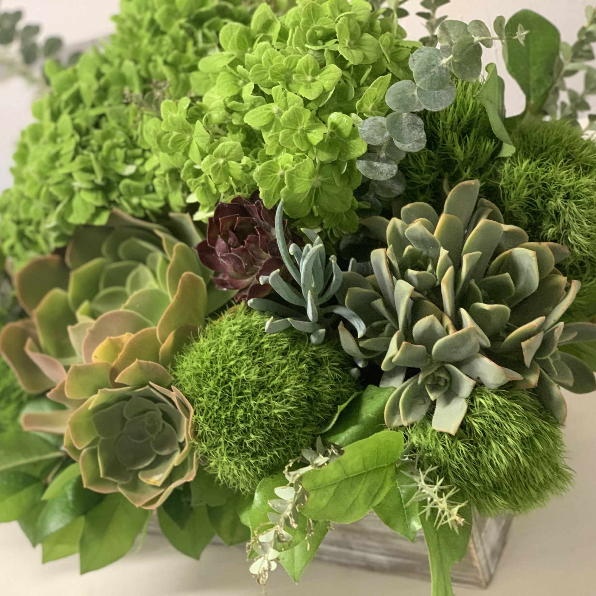 Something green, natural and lasting. A piece of nature at your home.