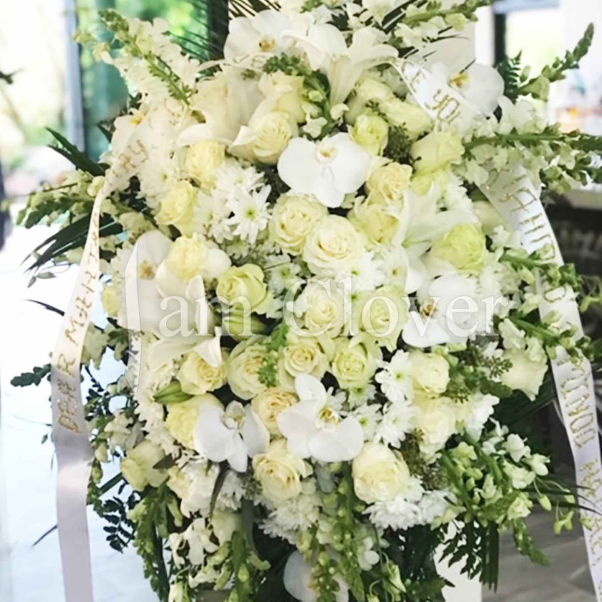 An elegant and sophisticated spray, blending the timeless beauty of white roses