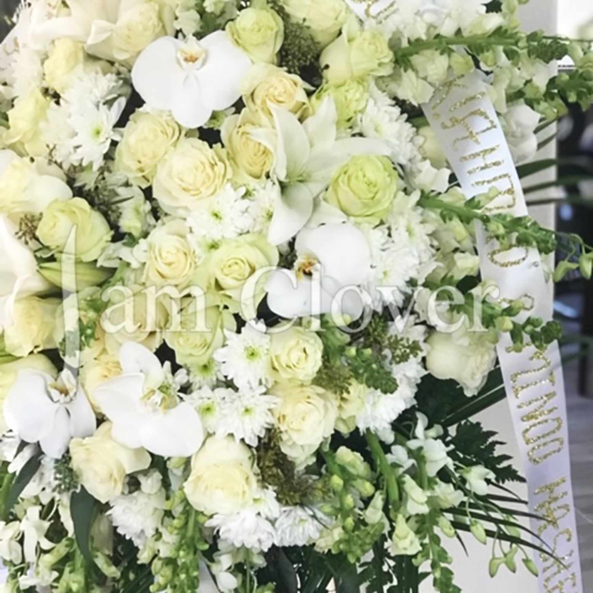 An elegant and sophisticated spray, blending the timeless beauty of white roses