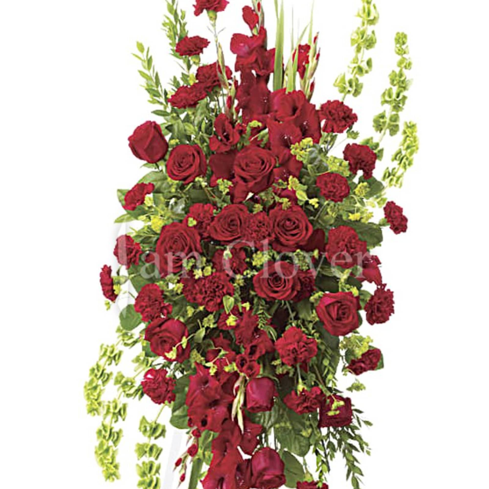 Red roses convey a profound sense of devotion and honor. They are