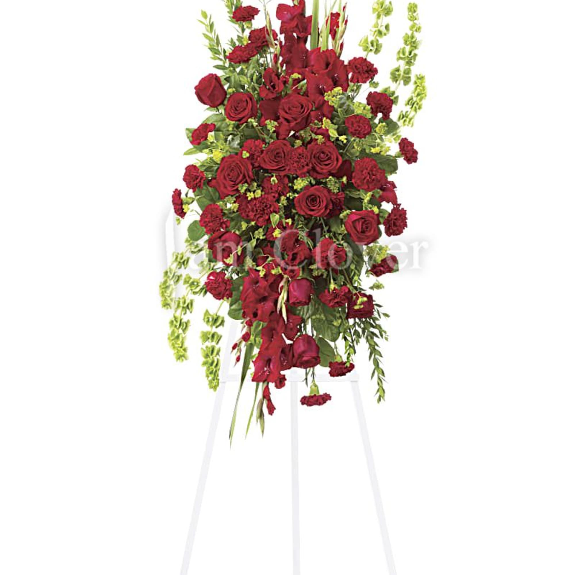 Red roses convey a profound sense of devotion and honor. They are