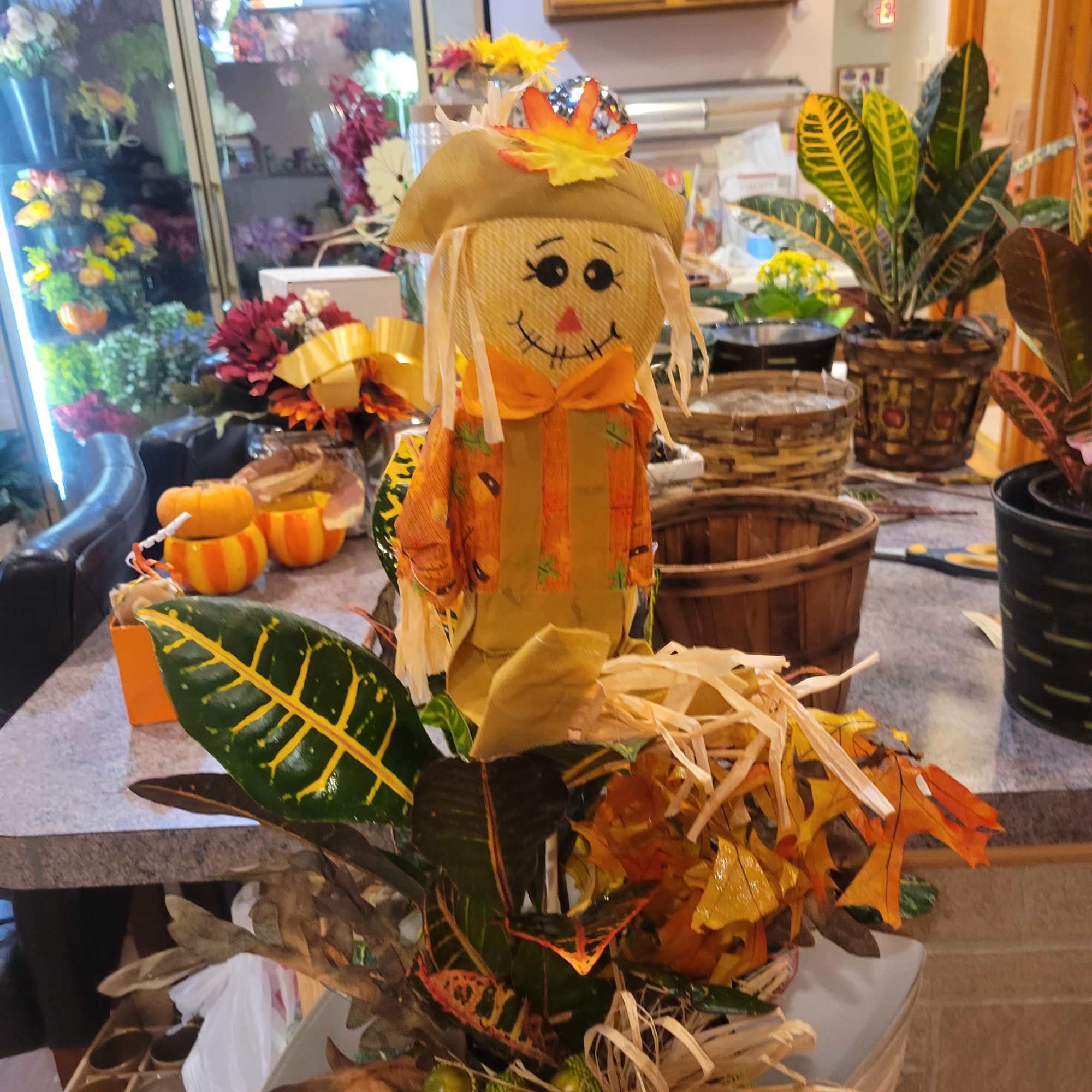 6 inch seasonal croton in a tin container decorated