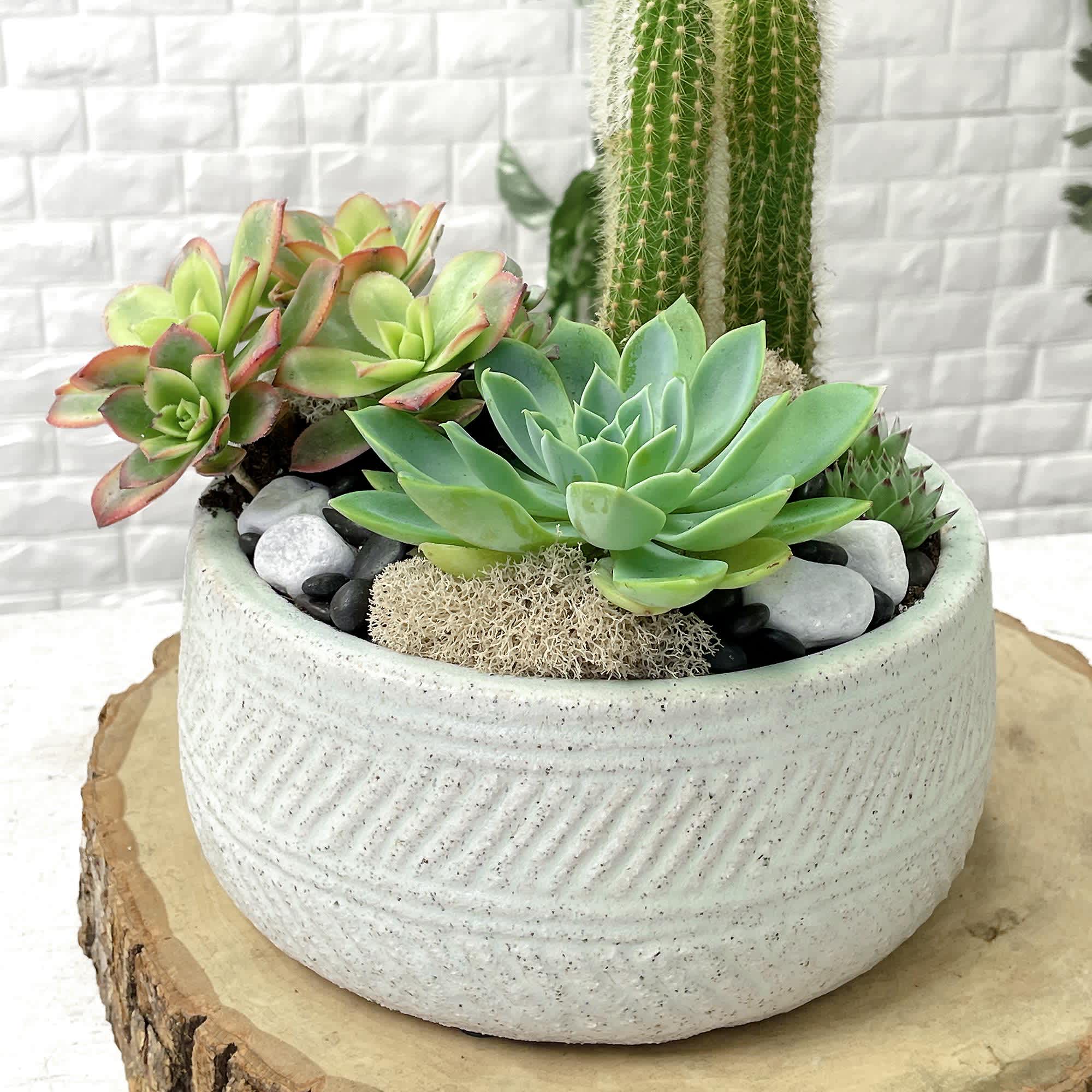 Need something for that person with a boring desk? Kitchen? Foyer?

A nice