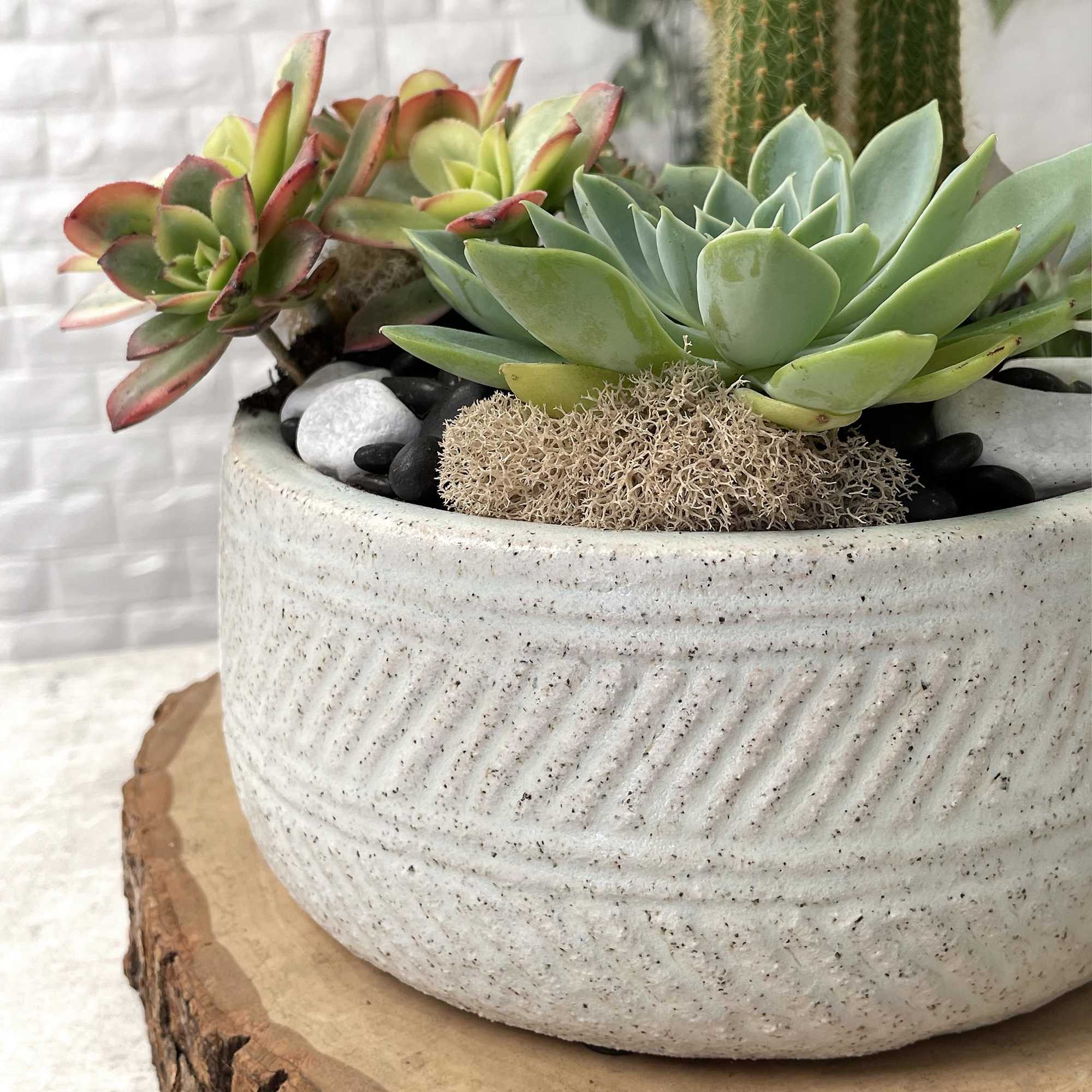 Need something for that person with a boring desk? Kitchen? Foyer?

A nice