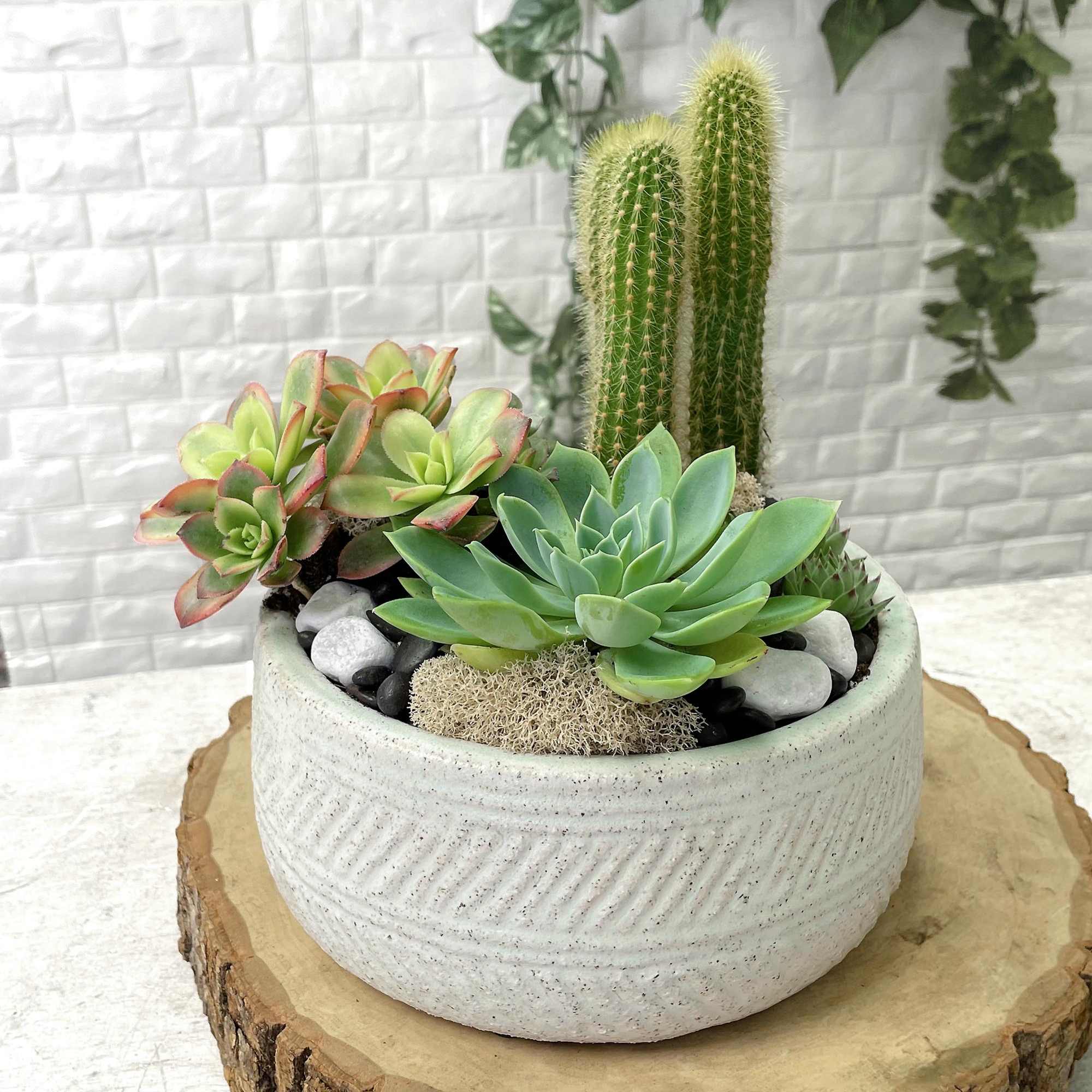 Need something for that person with a boring desk? Kitchen? Foyer?

A nice