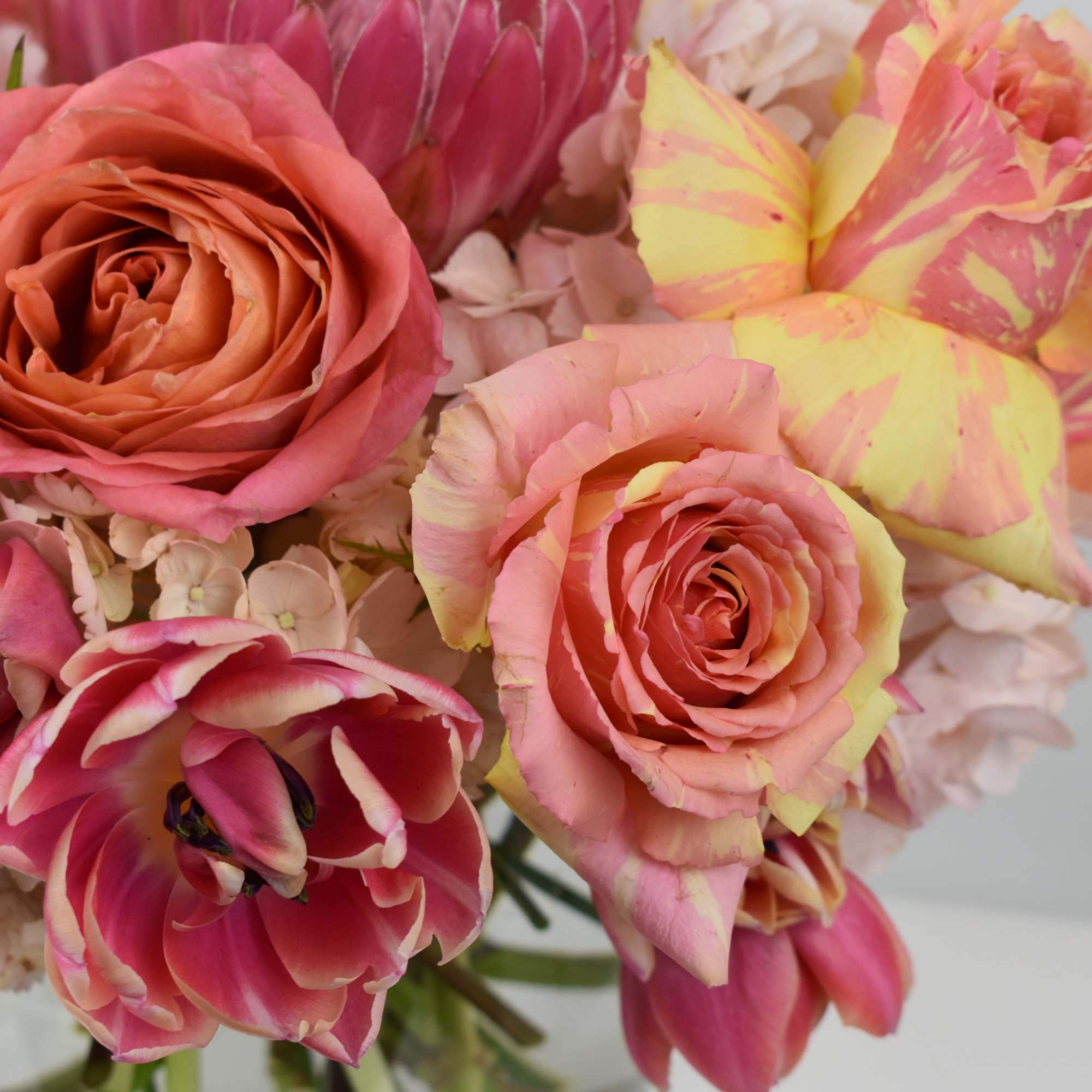 &quot;Look, a ladybug!&quot; That sort of childlike wonder and awe from seeing