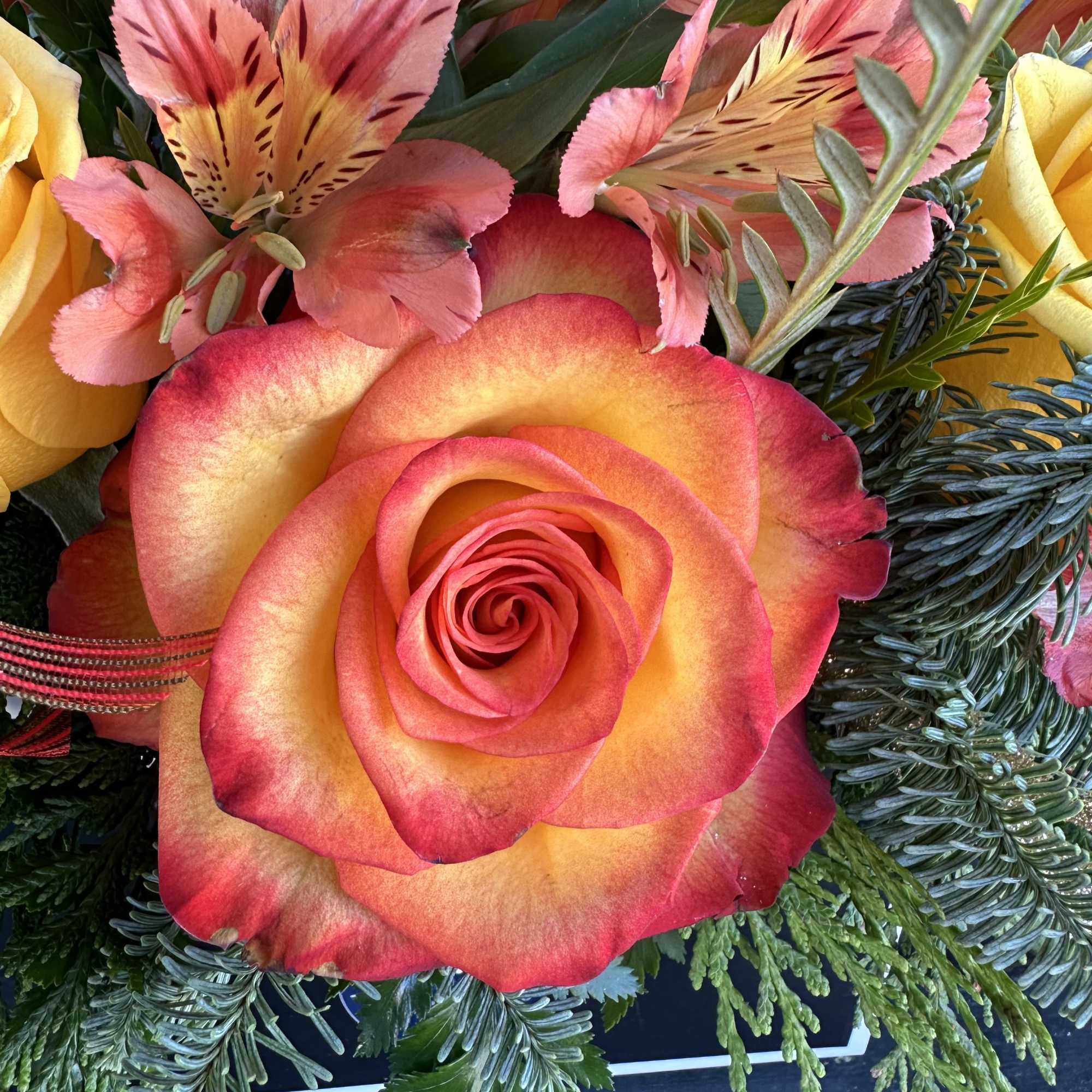 Warm colors for every occasion in a beautiful black &amp; white purse