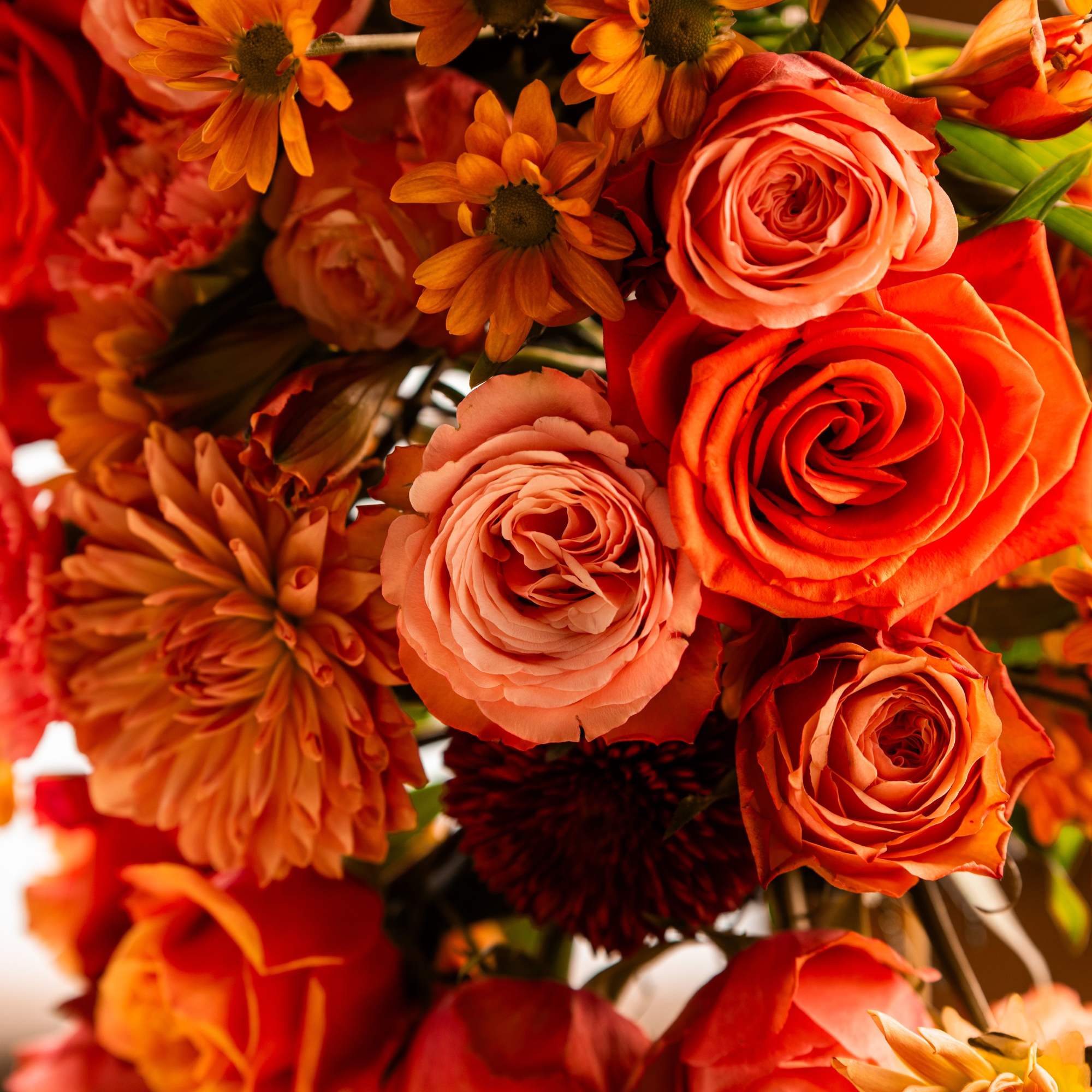Beautiful reach sunny orange colors roses, dahlias, daisies, alstroemeria and other filler