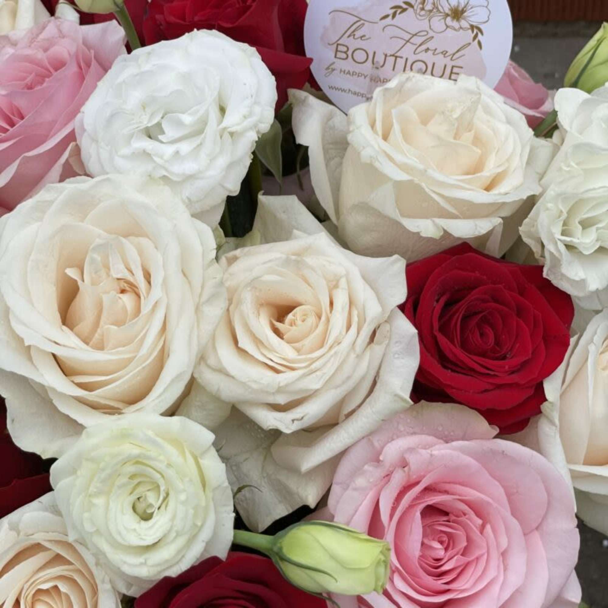 Box Sizes
Small Box- Standard
Medium Box-Deluxe
Large Box- Premium